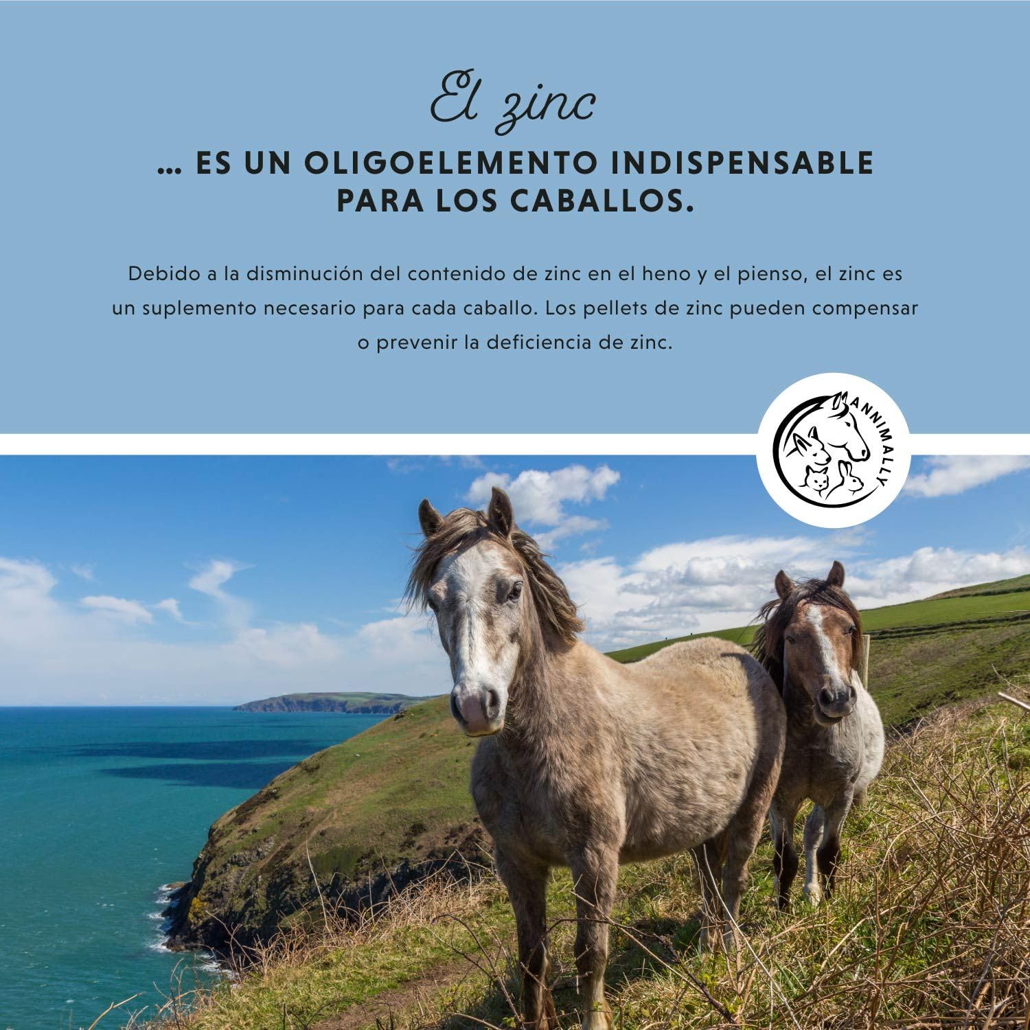 Annimally Zinc para Caballos - Pellets de Zinc (700 g) Altamente dosificados con comino Negro, zeolita, esparceta y levadura de Cerveza para la Piel, el Pelo y los Cascos