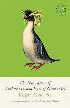 The Narrative of Arthur Gordon Pym of Nantucket: and