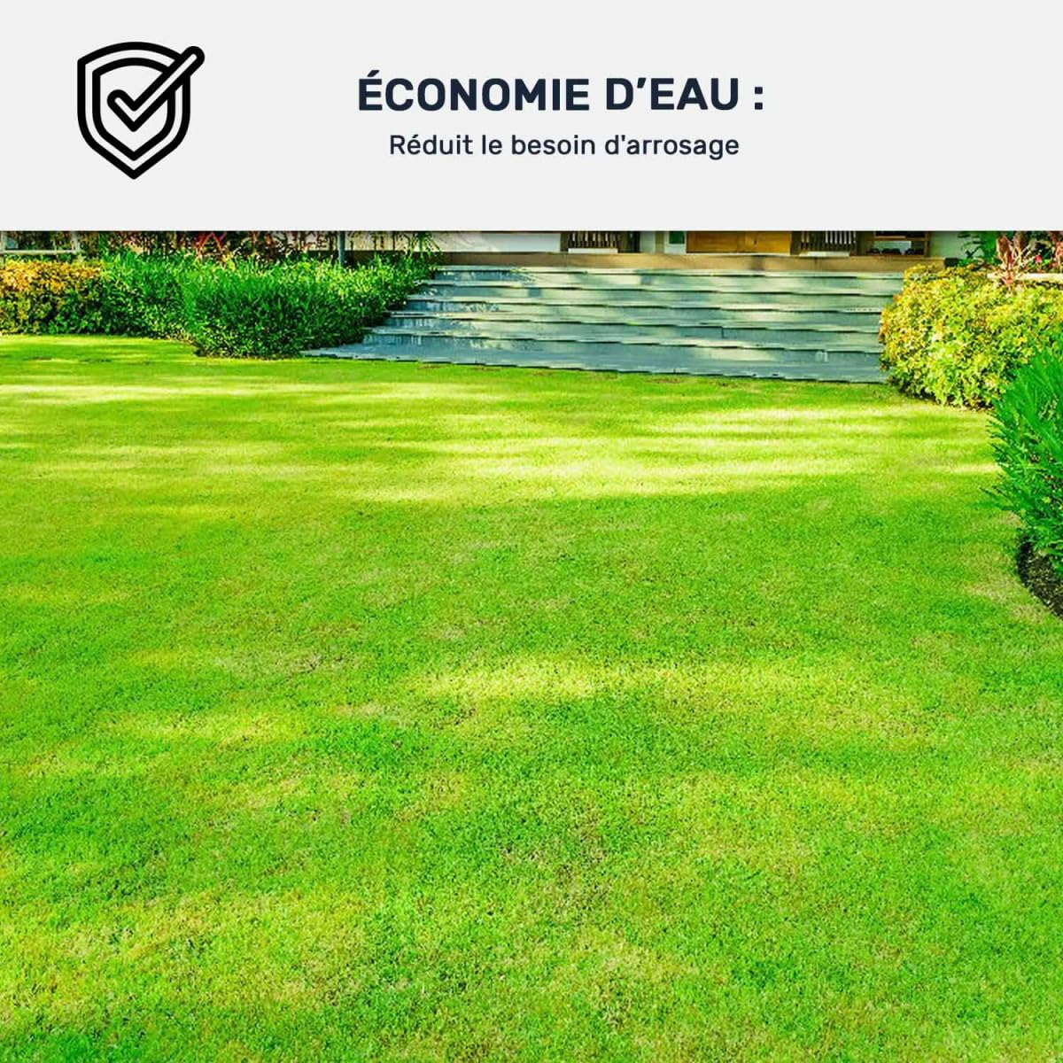 ARCANE INDUSTRIES Peinture Gazon, pelouse, végétation : ARCAGREEN - 1 L Vert