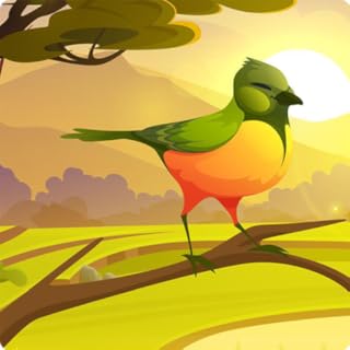 Birds Sounds for Sleeping & Soothing Jungle Bird Sounds for Sleep : Singing Birds Green Noise Nature Relaxing Sounds for Deep Sleeping & Soothing Forest Bird Sounds for Relaxing Sleep For Fire Tablet