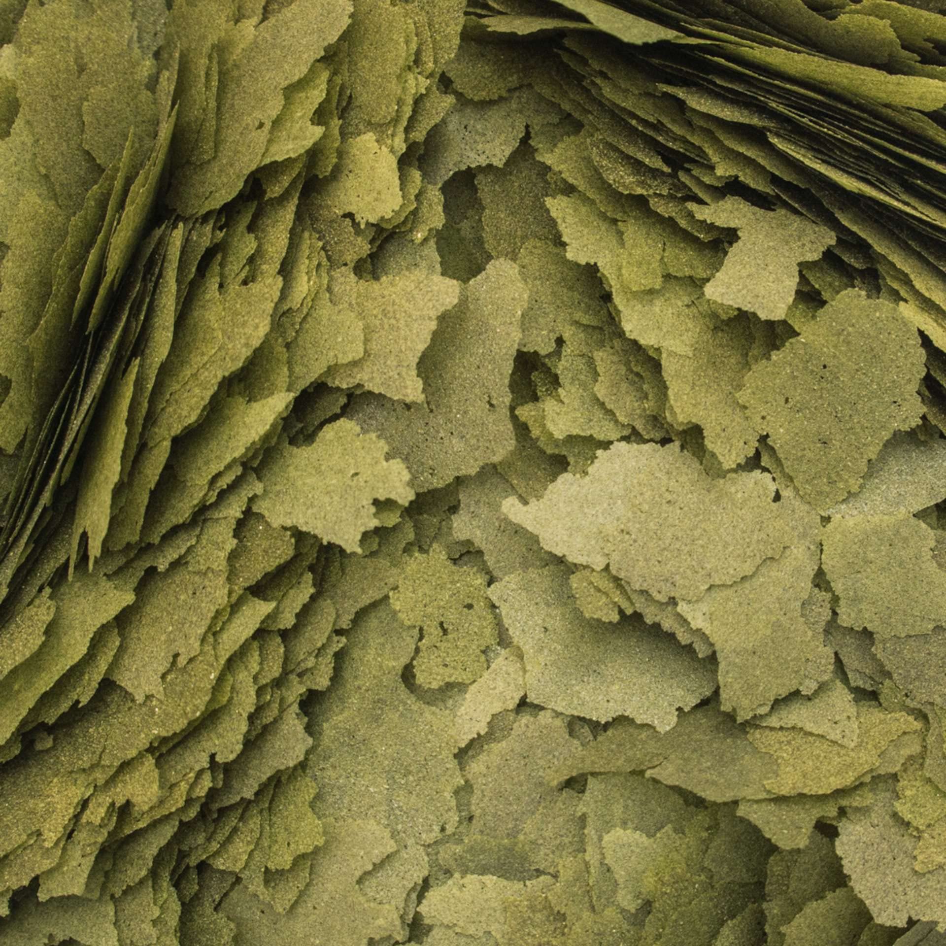 Tropical 3-Algae Flakes, 1er Pack (1 x 5 l)