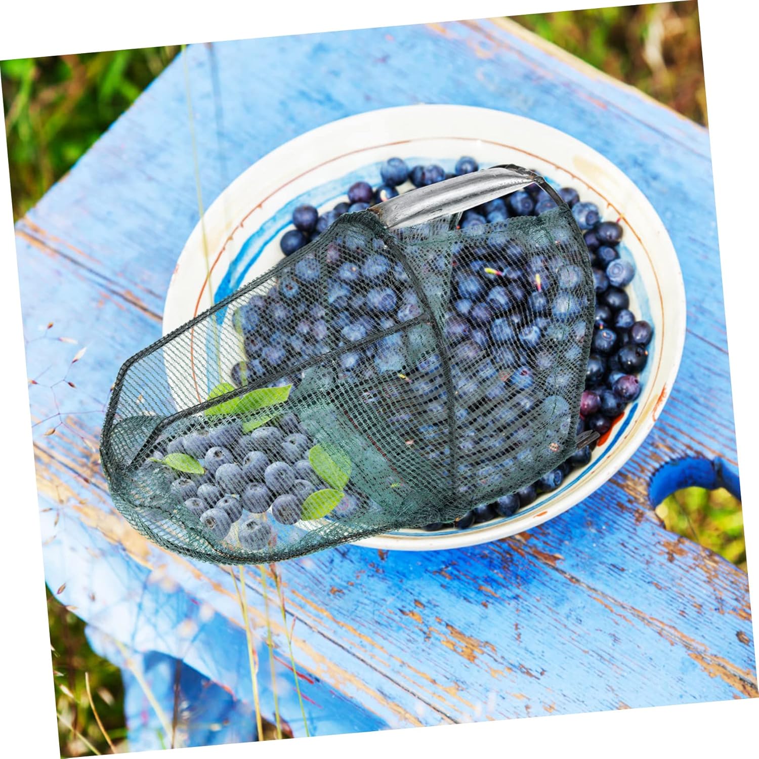 Portable Blueberry Picker Fruit Picker Baskets Household Farm Tools Blueberry Devices Fruit Harvester Tools Gardening Small Lightweight