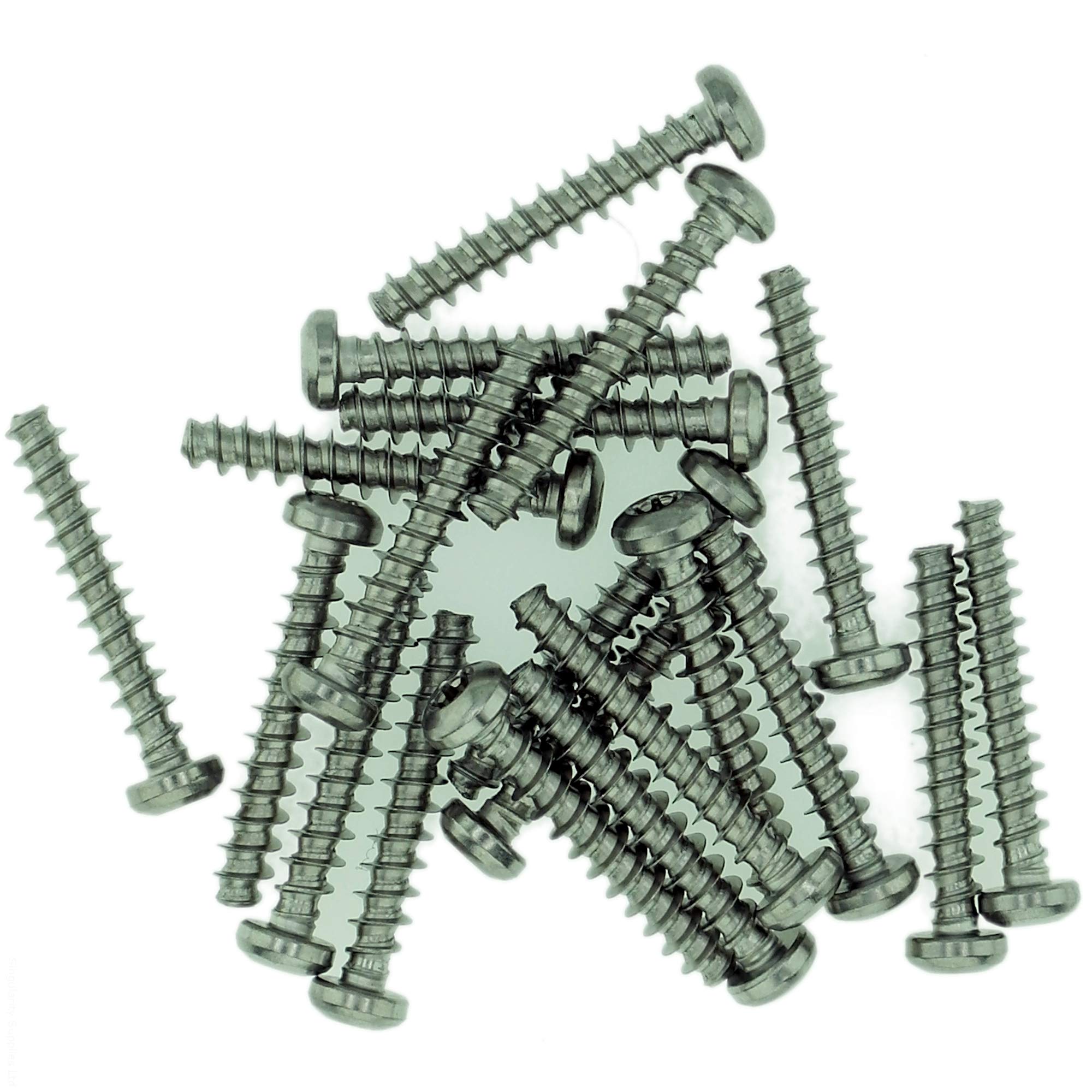 Singularity Supplies D4 (4Mm X 14Mm) Tx Pan Screws For Plastic - Stainless Steel (A2) (Pack Of 20)