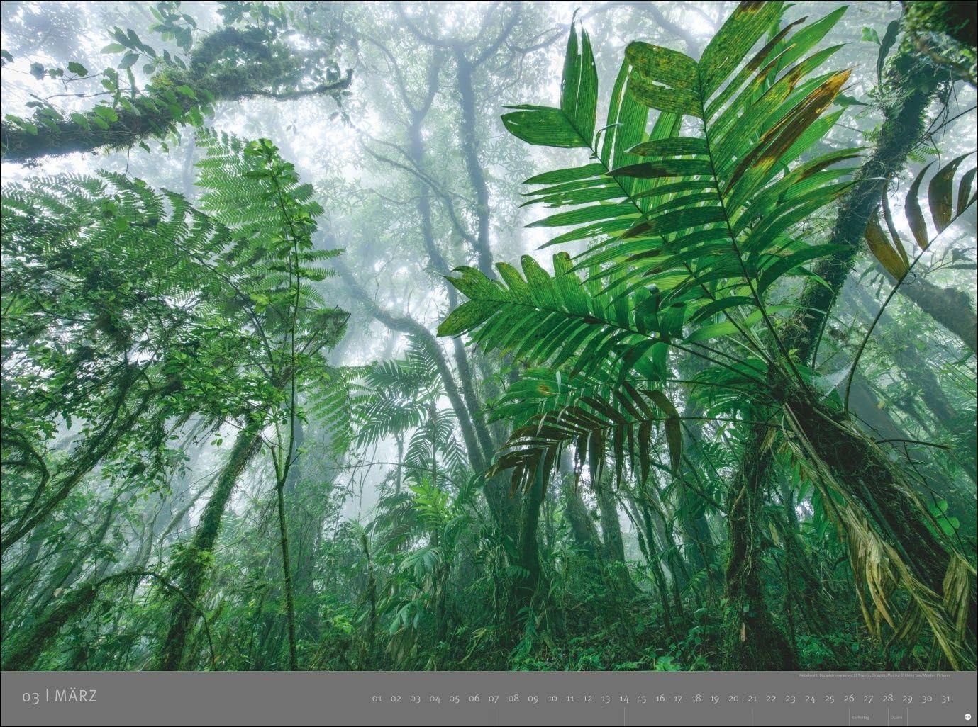 Die letzten Paradiese - Edition Alexander von Humboldt Kalender 2027: Alexander von Humboldt-Reihe. Großformat-Wandkalender mit atemberaubenden Landschafts-Fotografien. Foto-Kalender XXL. Querformat.