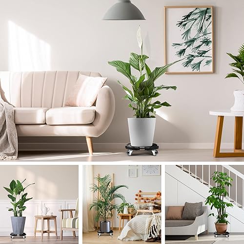 Miniatura 6 de W B D WEIBIDA Paquete de 2 organizadores para plantas con ruedas de alta resistencia de 440 libras de capacidad, soporte rodante para plantas