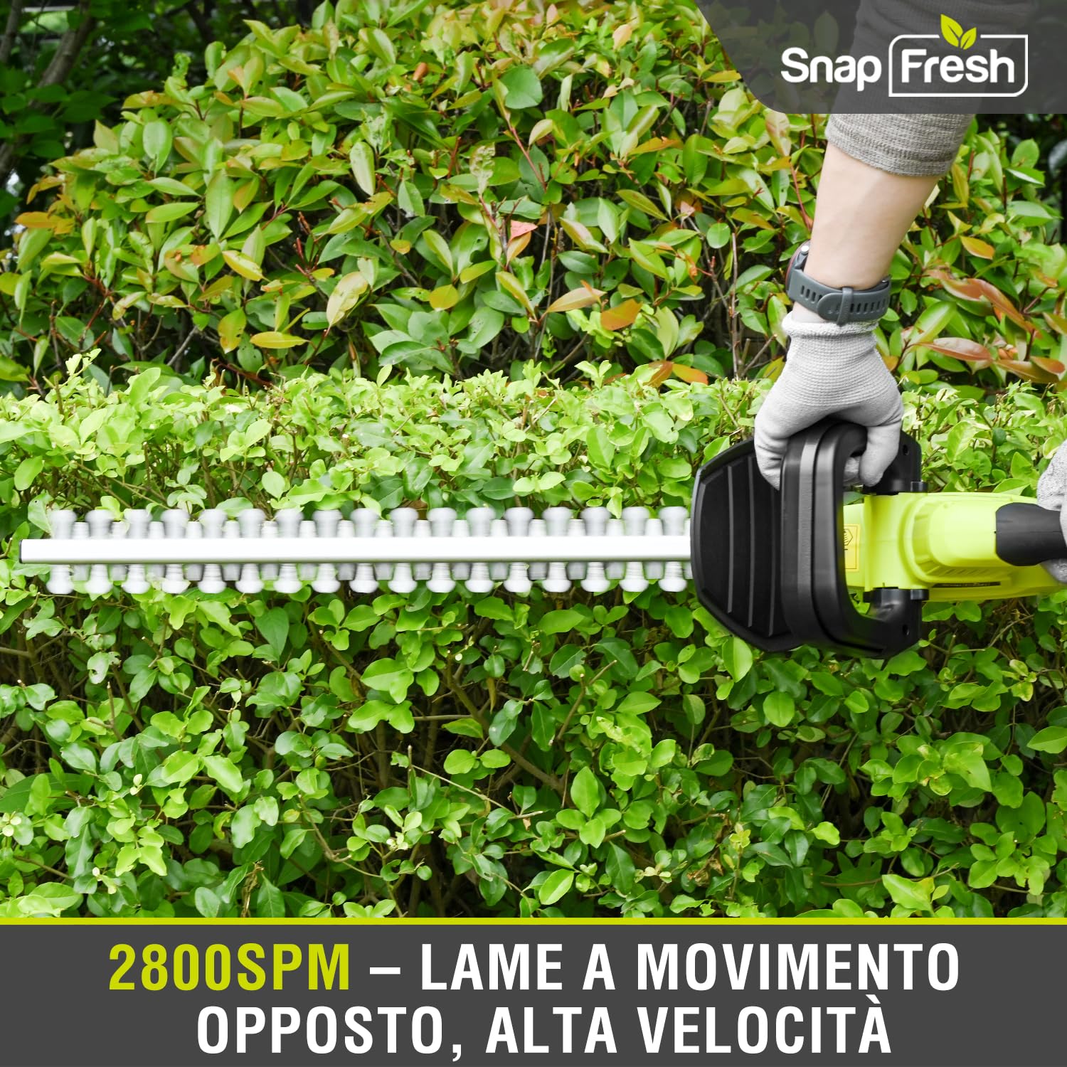 SnapFresh Tagliasiepi a Batteria 20V, Leggero 2,15 kg, 55 cm Lunghezza di Taglio, Distanza Denti 14 mm, 2800 SPM, Tagliasiepi Elettrico per Giardino, Siepi, Arbusti e Cespugli