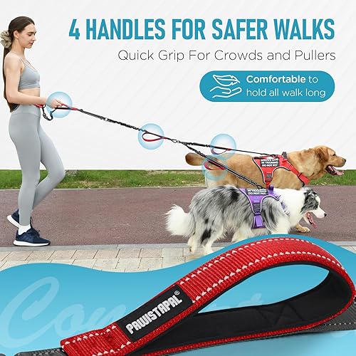 Miniatura 3 de Correa doble resistente para perros manos libres para razas grandes y medianas, correa elástica de nailon resistente reflectante de 6 a 8 pies con