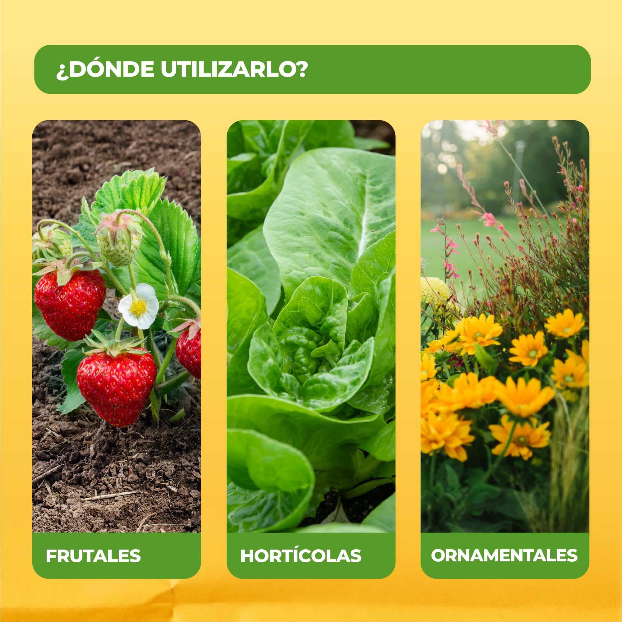 Solabiol Anticaracoles Natural RB. Protección Natural contra Caracoles y babosas. 100% Ingredientes Naturales