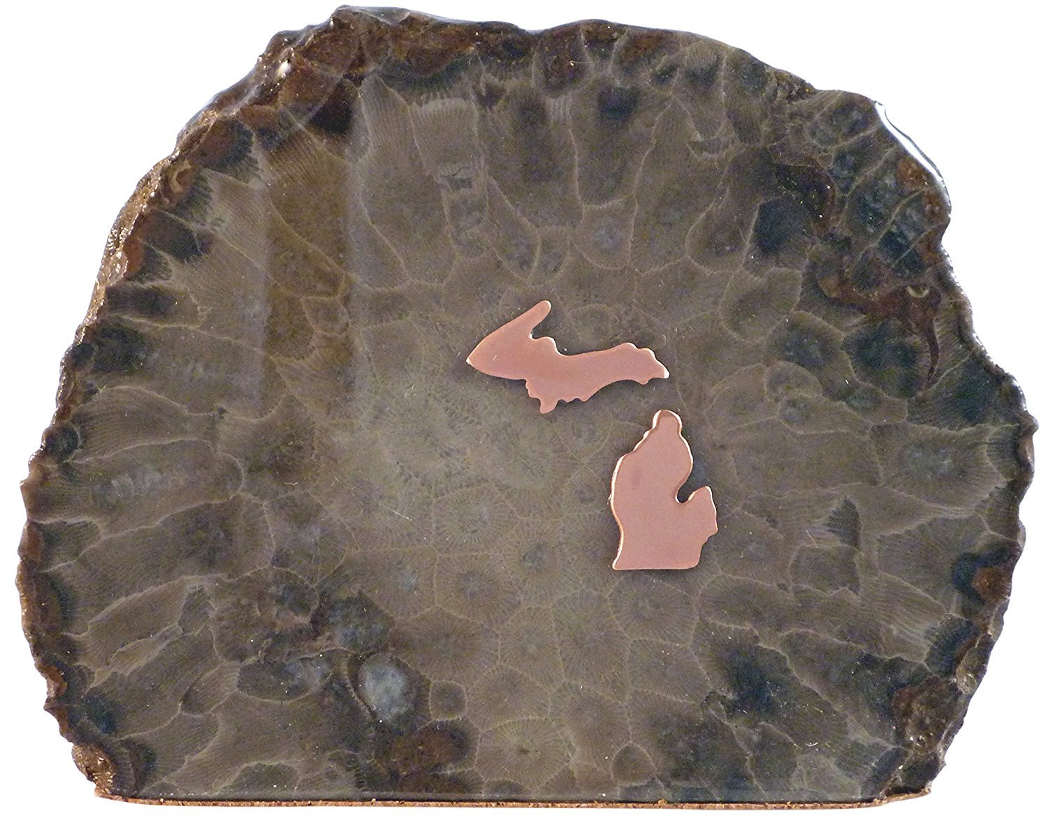 Keweenaw Gem and Gift, Inc. Hand Crafted Petoskey Stone (Medium) Decorated with Michigan Copper. Michigan State Stones Great for Office Table or Desk Decor - Medium
