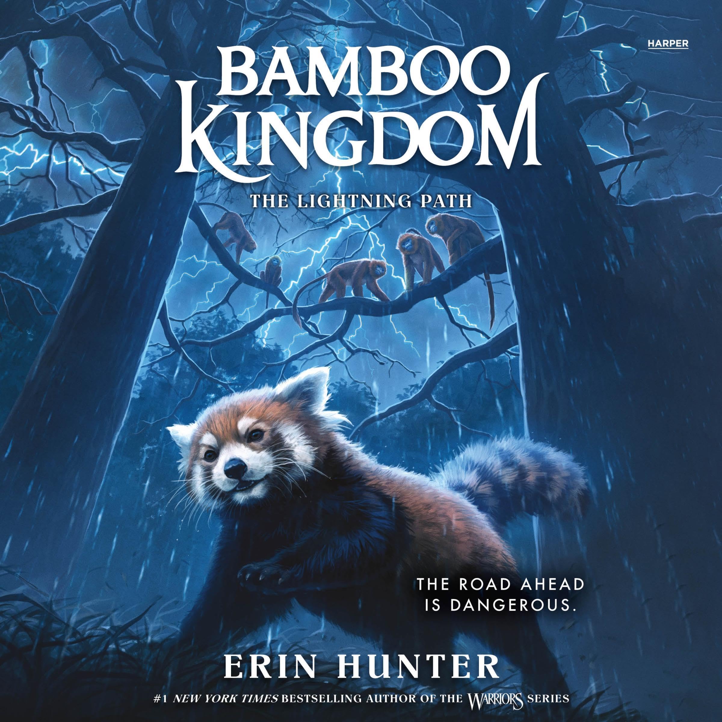 Cover art for Bamboo Kingdom #5: The Lightning Path