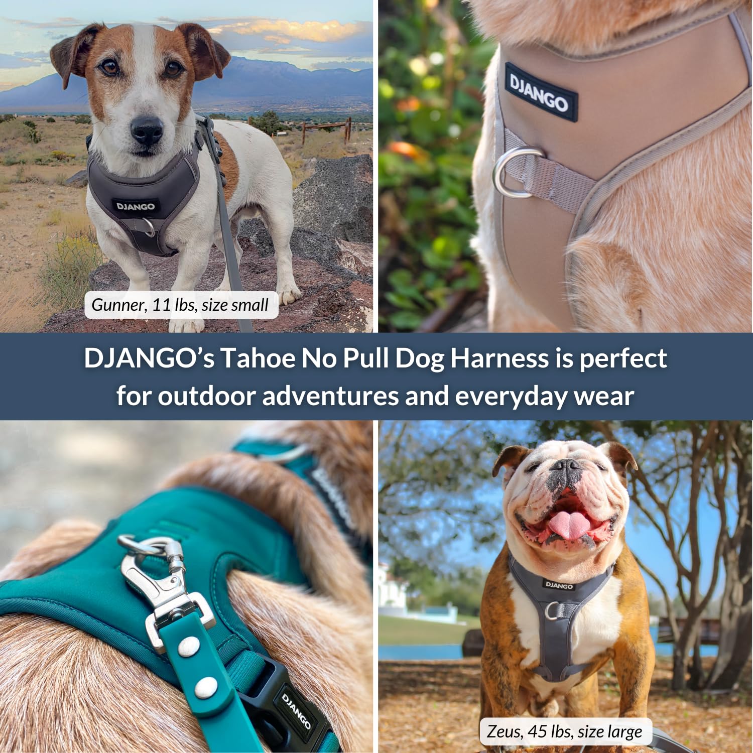 DJANGO Tahoe No Pull Hundegeschirr,Bequemes,Verstellbares und sicheres Design für den täglichen Gebrauch (Medium, Himbeerviolett)