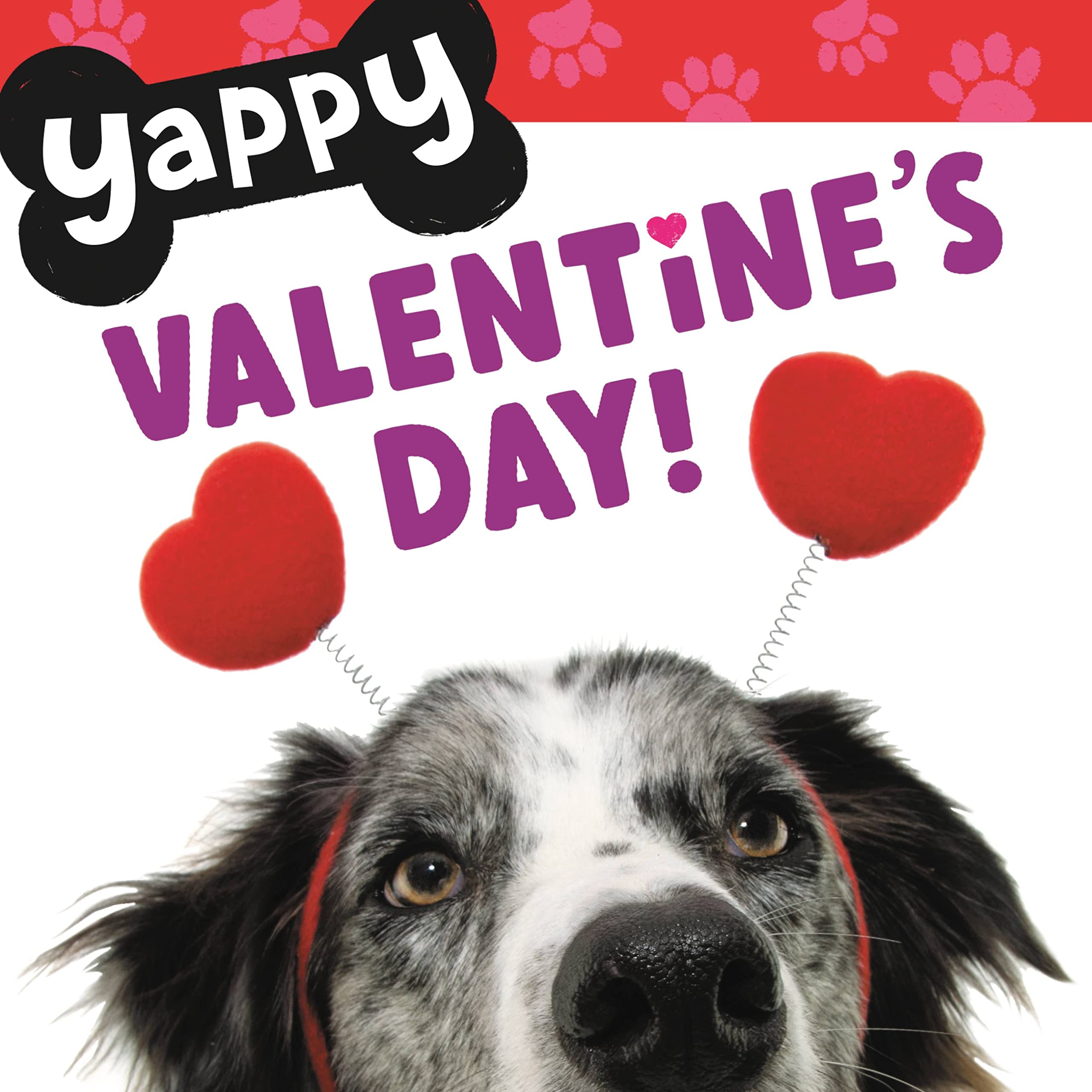 Yappy Valentines Day Desertcart Seychelles