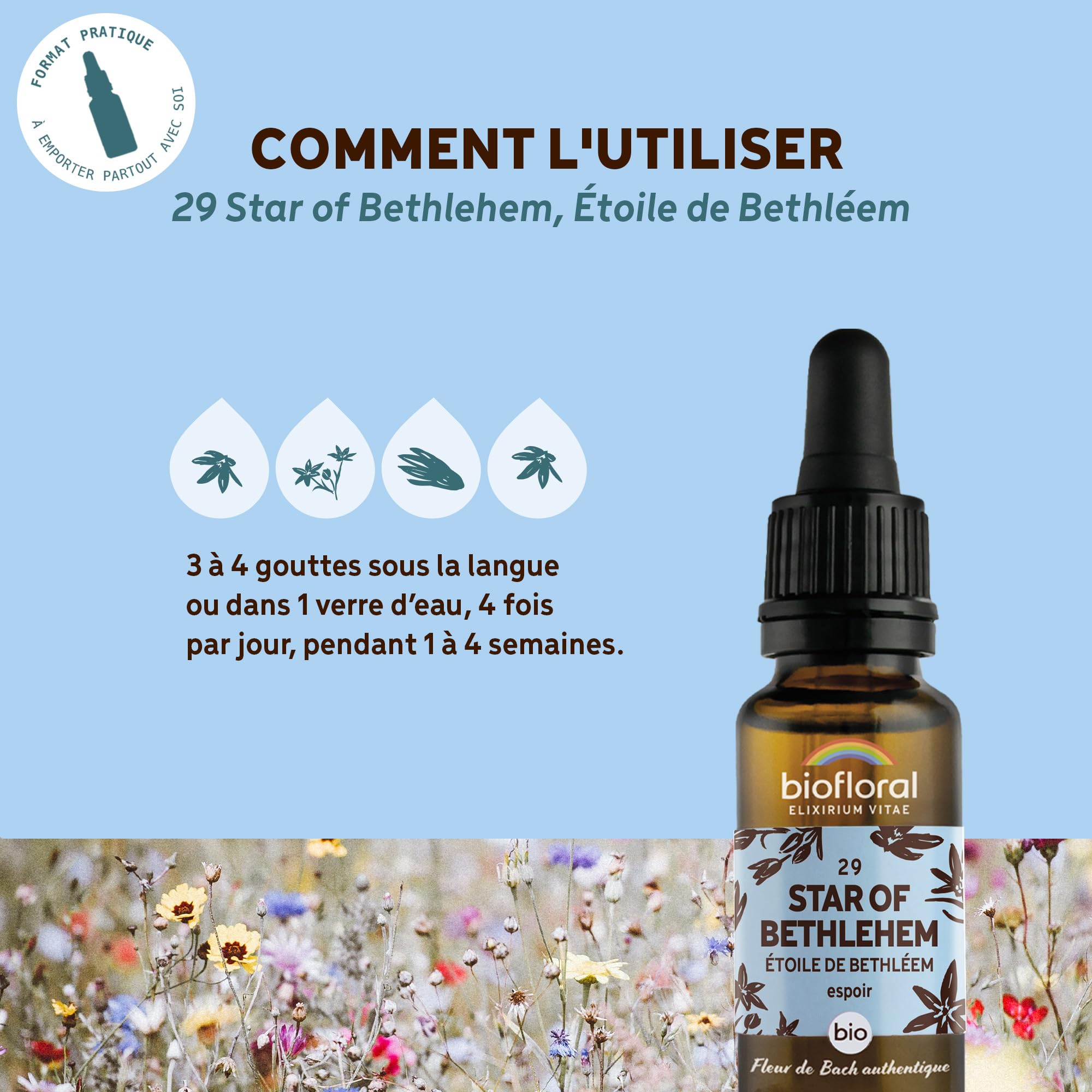 BIOFLORAL - 29 Star of Bethlehem, Estrella de Belén BIO DEMETER – Esperanza – Flor de Bach auténtica – Gotero 20 ML