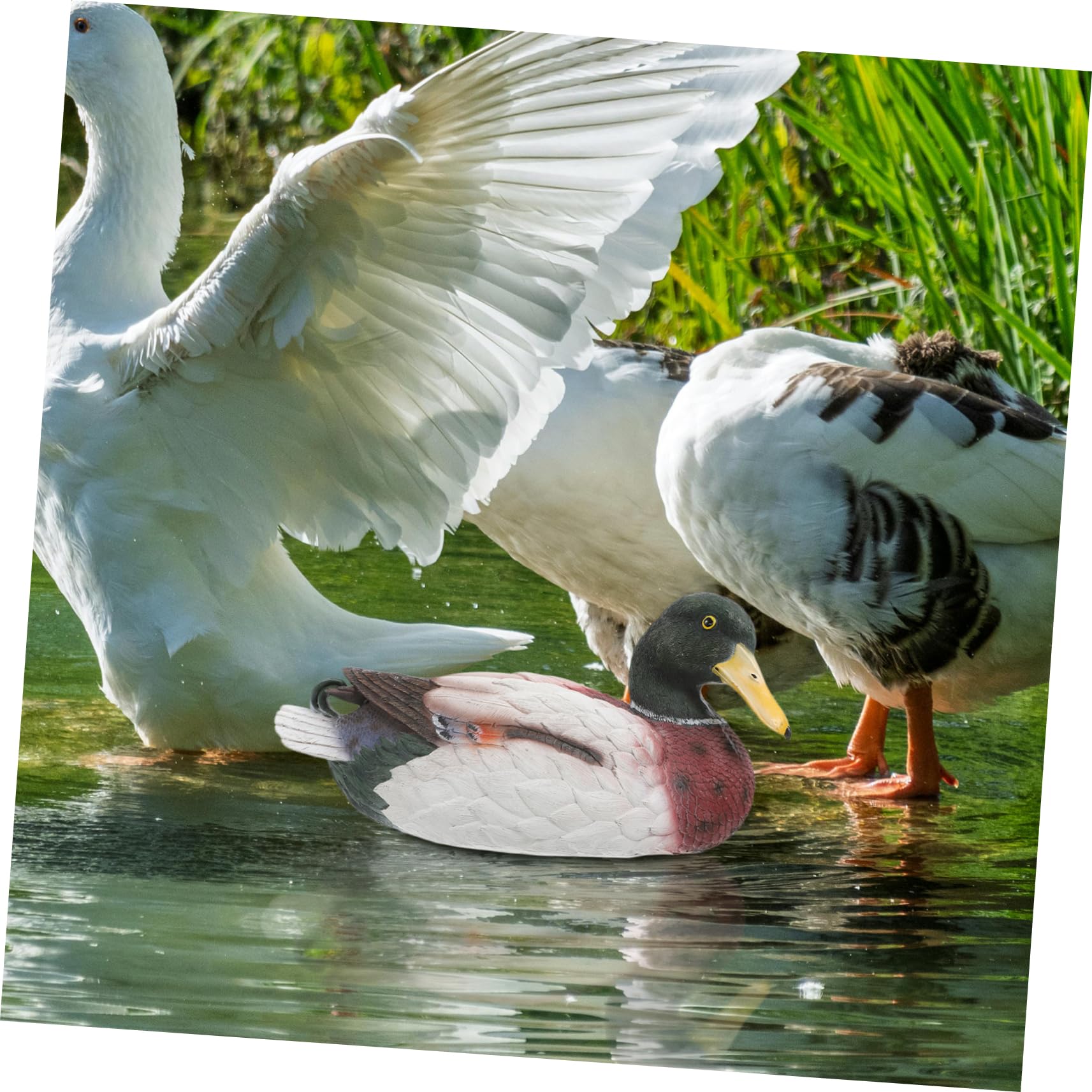 Enten-Angelstatue Aus Wetterfestem Kunstharz, 25 Cm – Skurrile Gartendeko Für Teich, Pool & Fensterbank