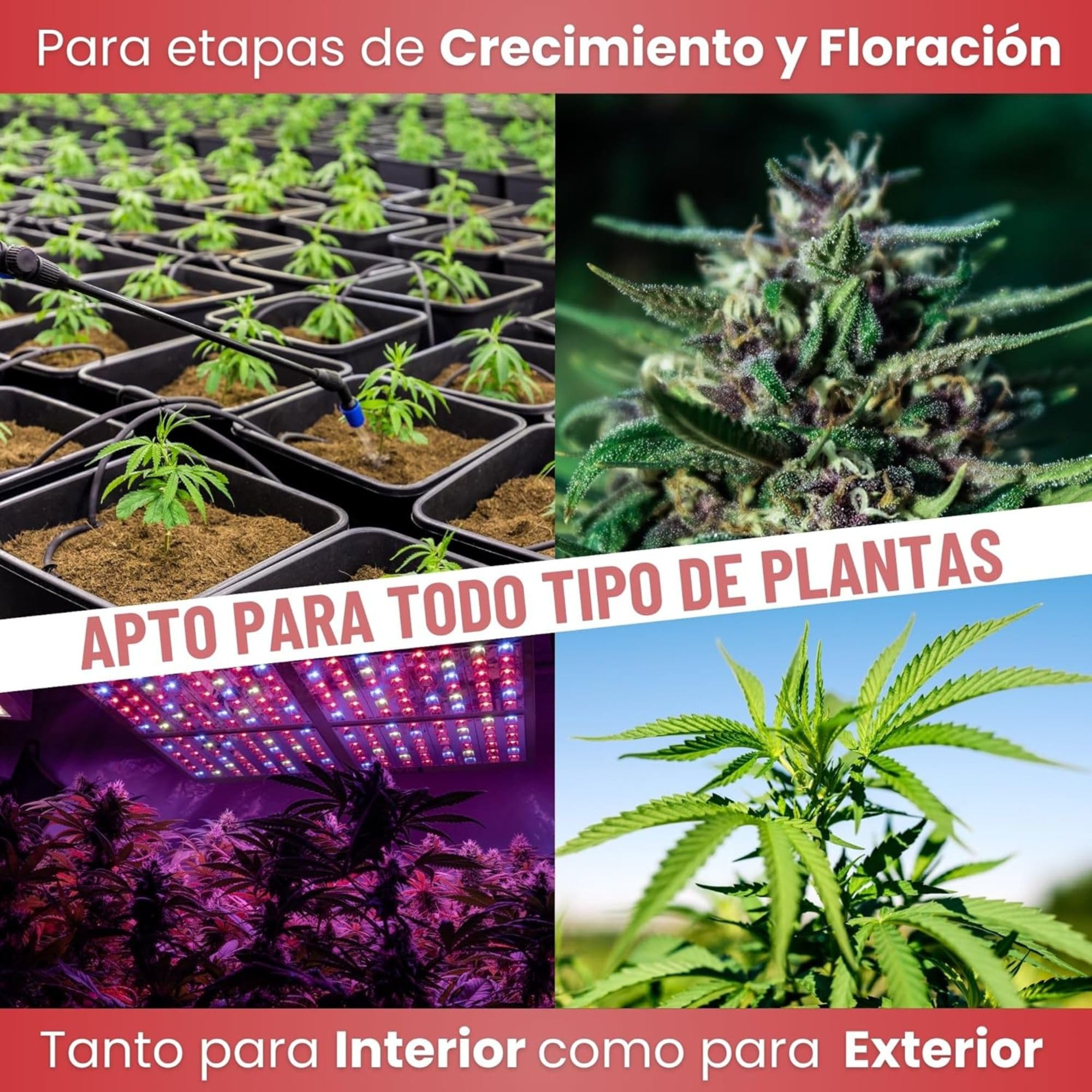 MADAME GROW Kit Kamala 3 x 1 Litro | Pack Fertilizantes Crecimiento Antiestrés y Engorde | Enraizante + Jabón Potásico + Engordador K30 | Pack 3 Abonos Orgánicos