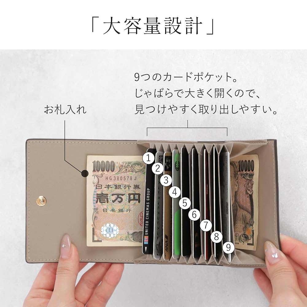Amazon | LASIEM(ラシエム) 【選べる12色×バイカラー】 カード