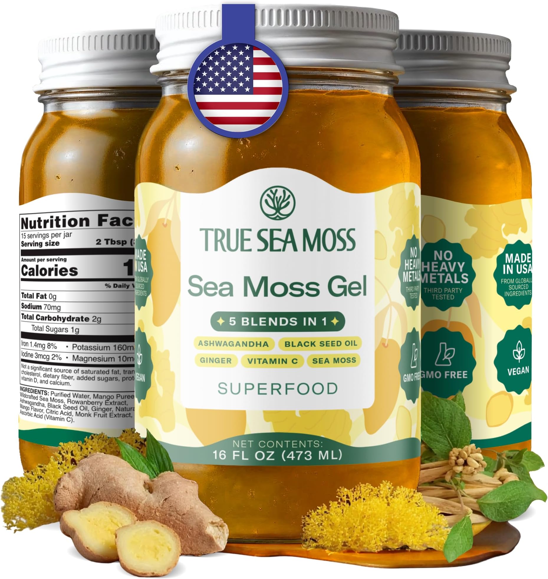 TrueSeaMoss Sea Moss Gel – Made in USA – 5-in-1 Formula – Wildcrafted Seamoss, Ashwagandha & Jarred Vegetables – Ashwagandha, Pack of 1 (Labels may Vary)