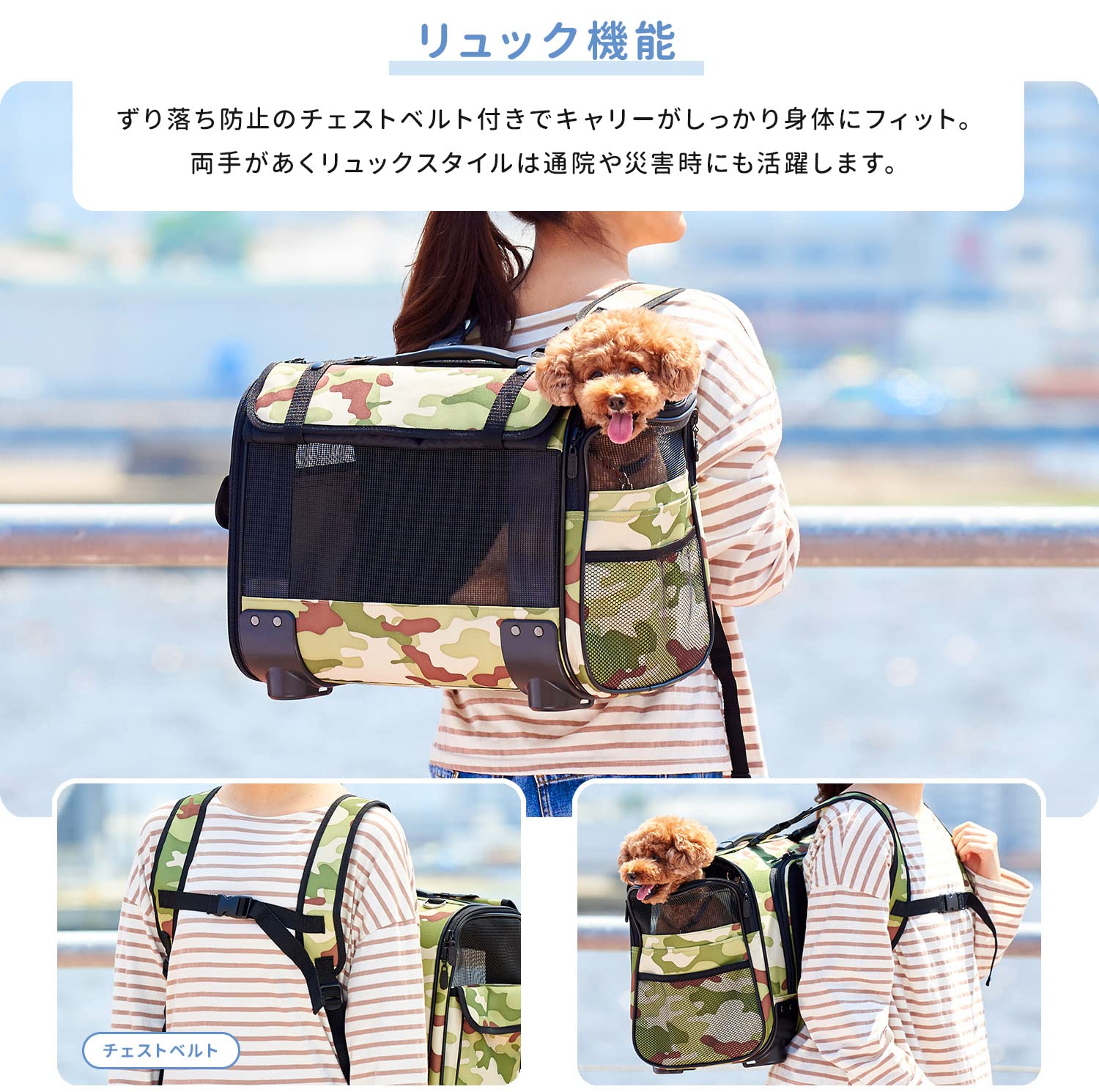 Amazon | オーエフティー M サイズ | オーエフティー | カート 通販