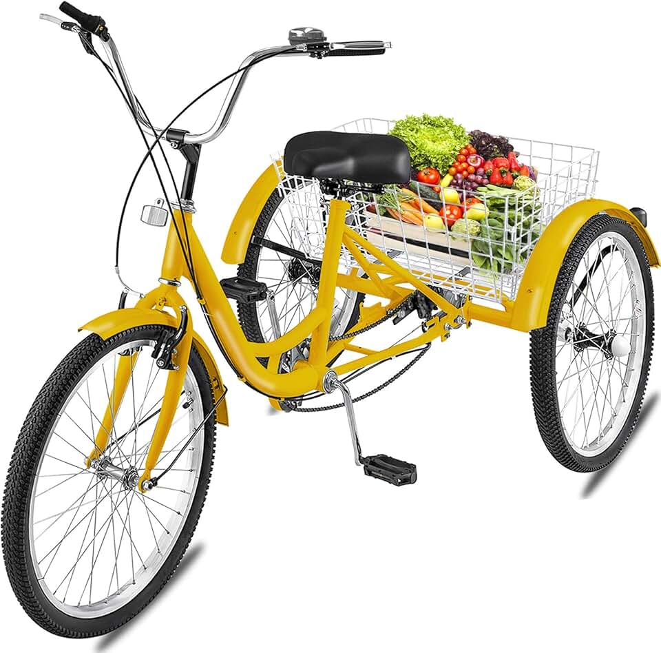 Amazon.ca electric tricycle