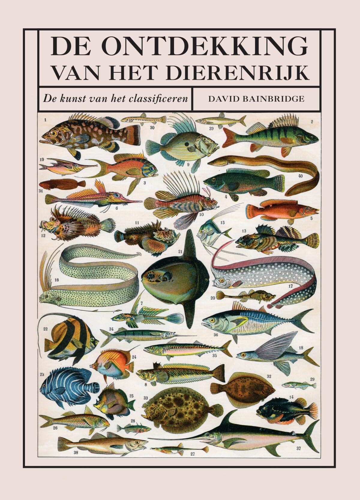 De ontdekking van het dierenrijk: de kunst van het classificeren