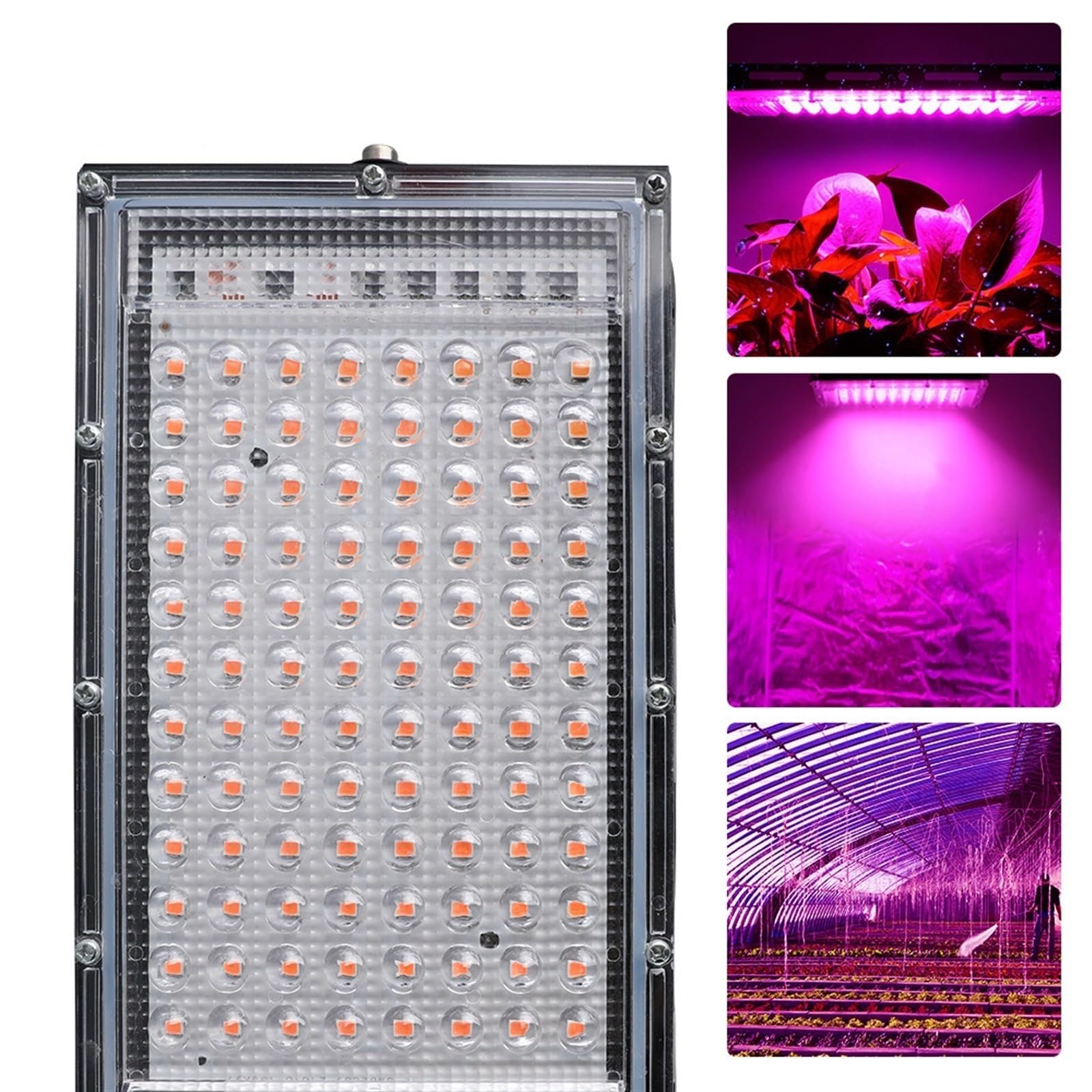 Lampe Horticole, Lampe de croissance à LED à spectre complet 50 W 100 W Projecteur avec LED for serre Lampe phyto for semis de fleurs hydroponiques, pour Plantes d'intérieur(100W)