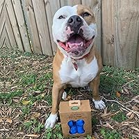 Vista 123 de Best Pet Supplies - Bolsas para limpieza de excremento de perro, rollo de repuesto, uso en exteriores, a prueba de fugas y desgarros, plástico