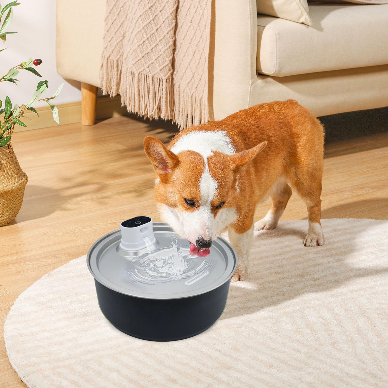 Generisch 2026 Dispenser di acqua per cani wireless super silenzioso con contenitore in acciaio inox Sensore di movimento per animali domestici Abbeveratoio automatico con per gatti cani (nero, A)