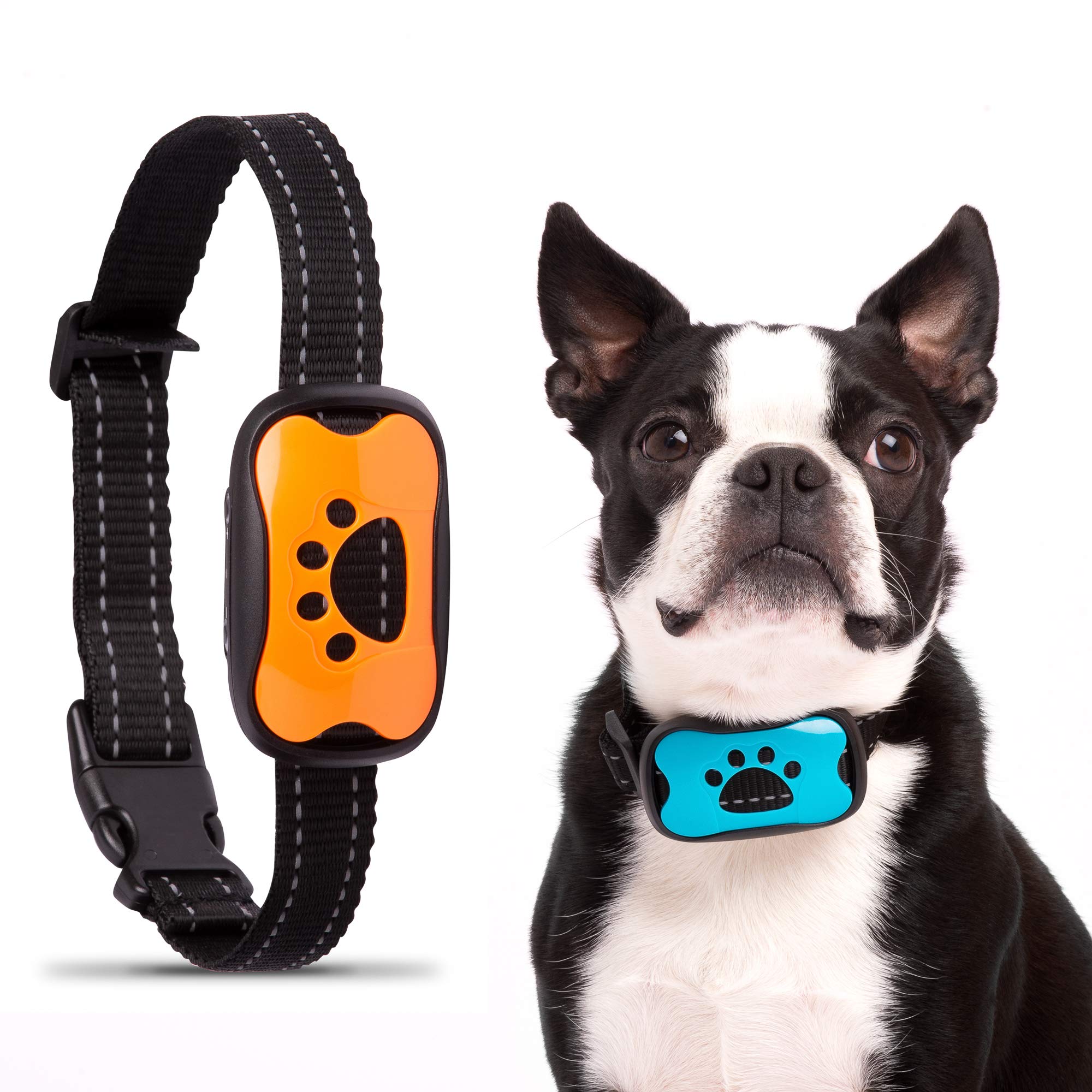 dog deterrent collar