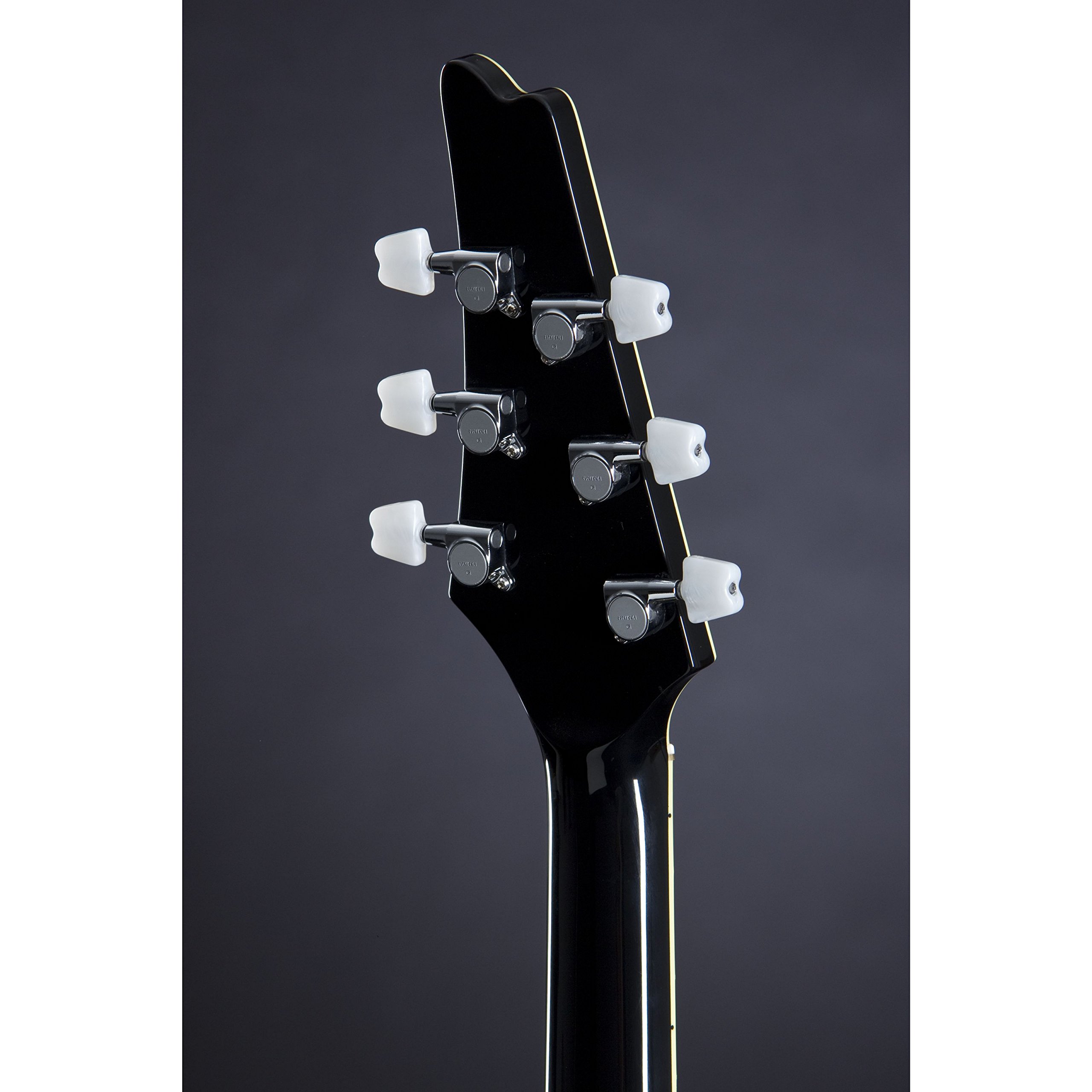 Amazon.com: Ibanez Paul Stanley Signature 6 String Electric Guitar