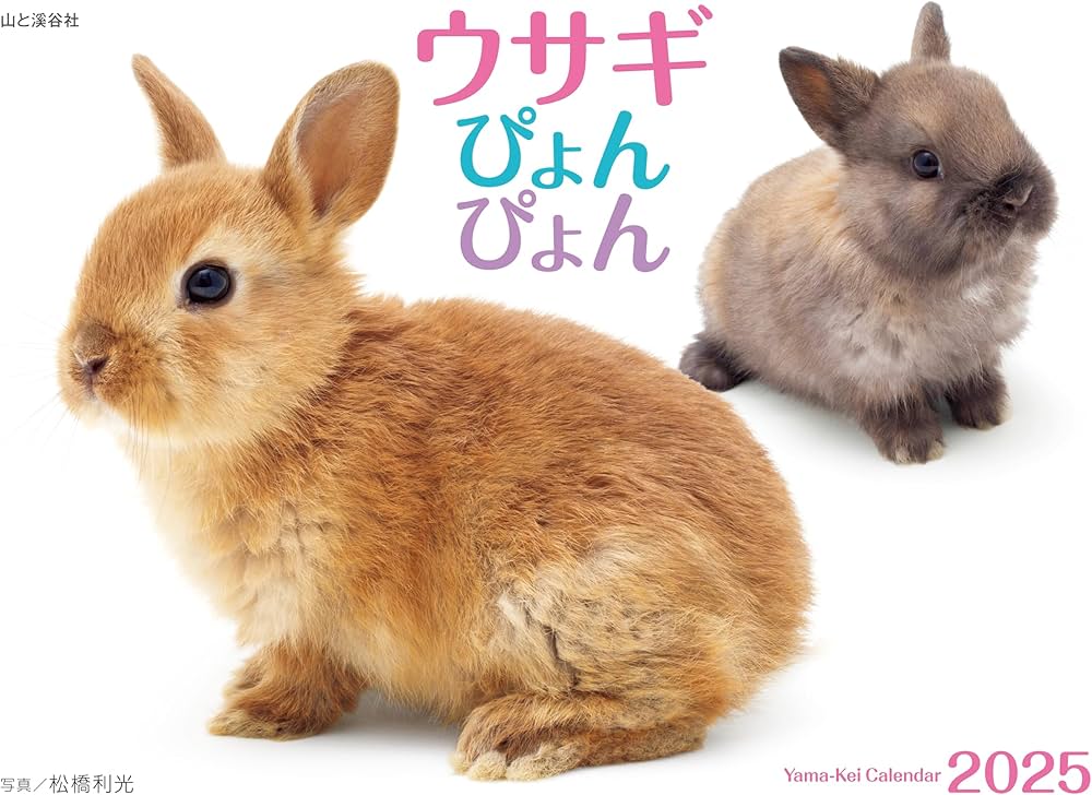 カレンダー2025 ウサギぴょんぴょん（月めくり/壁掛け） (ヤマケイ