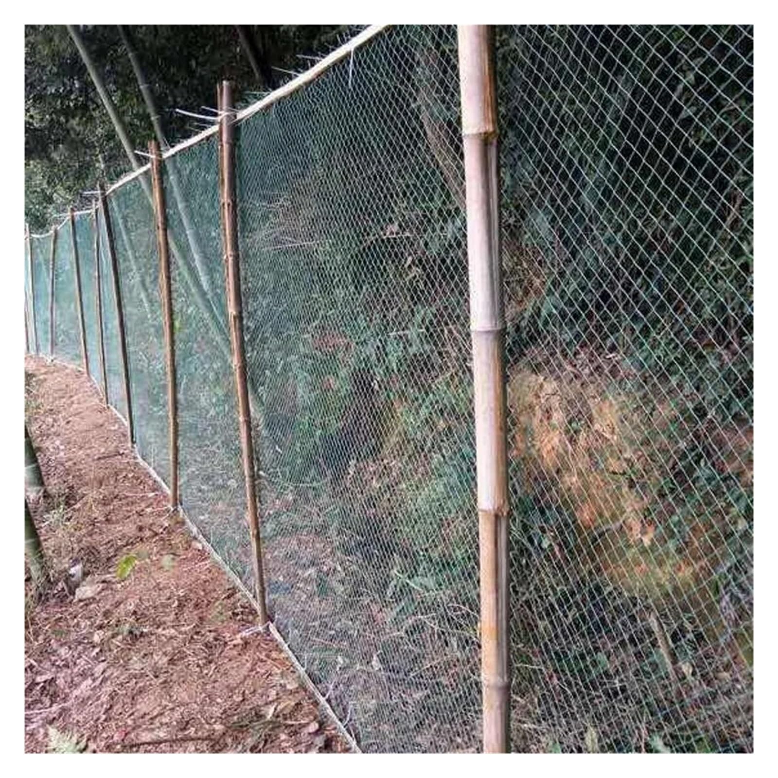 Red pesada para pájaros para protección de jardines y cultivos, 3 m x 5 m, 24 hebras, multicolor, anti pájaros, gatos, perros y ciervos, red para exteriores