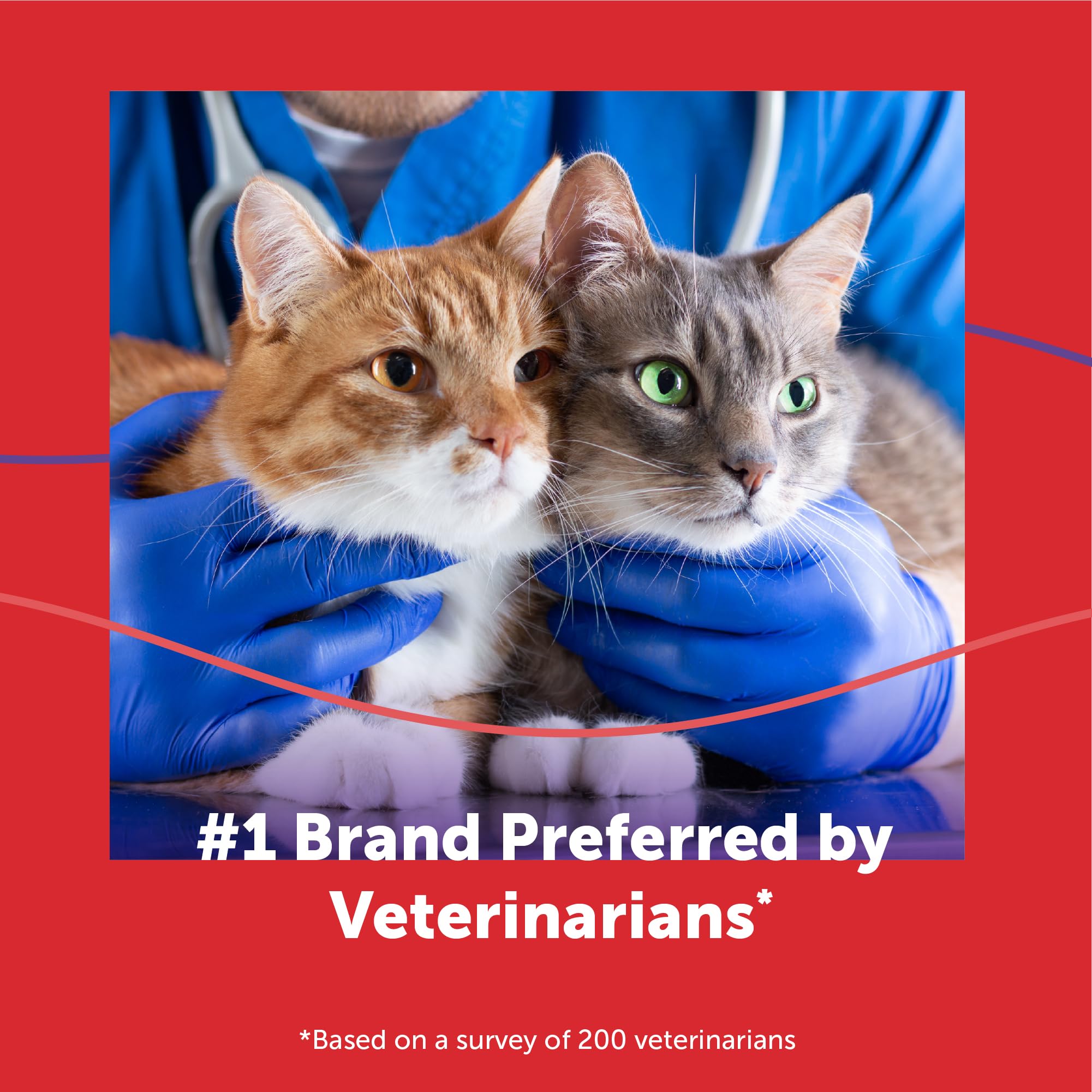 CEVA Animal Health FELIWAY MultiCat Lot de 3 phéromones apaisantes 30 Jours