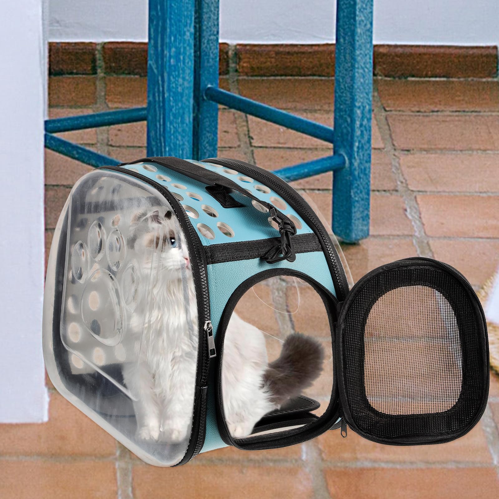Transparenter Katzentransportrucksack für Reisen und Camping, Blau