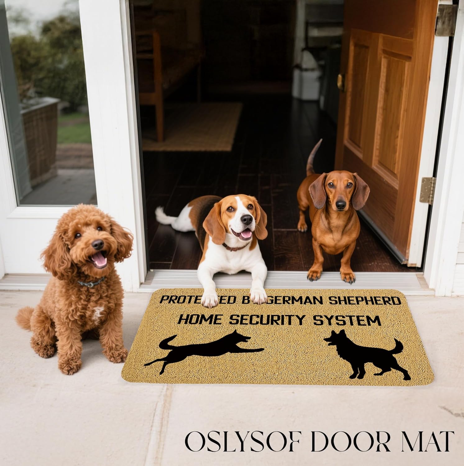 Funny German Shepherd Door Mat, German Shepherd Gifts for Women Men Owners Doormat for Front Door Indoor Outdoor Porch Entrance Entryway, Funny Dog Welcome Mat Outside, 17x30 Inches
