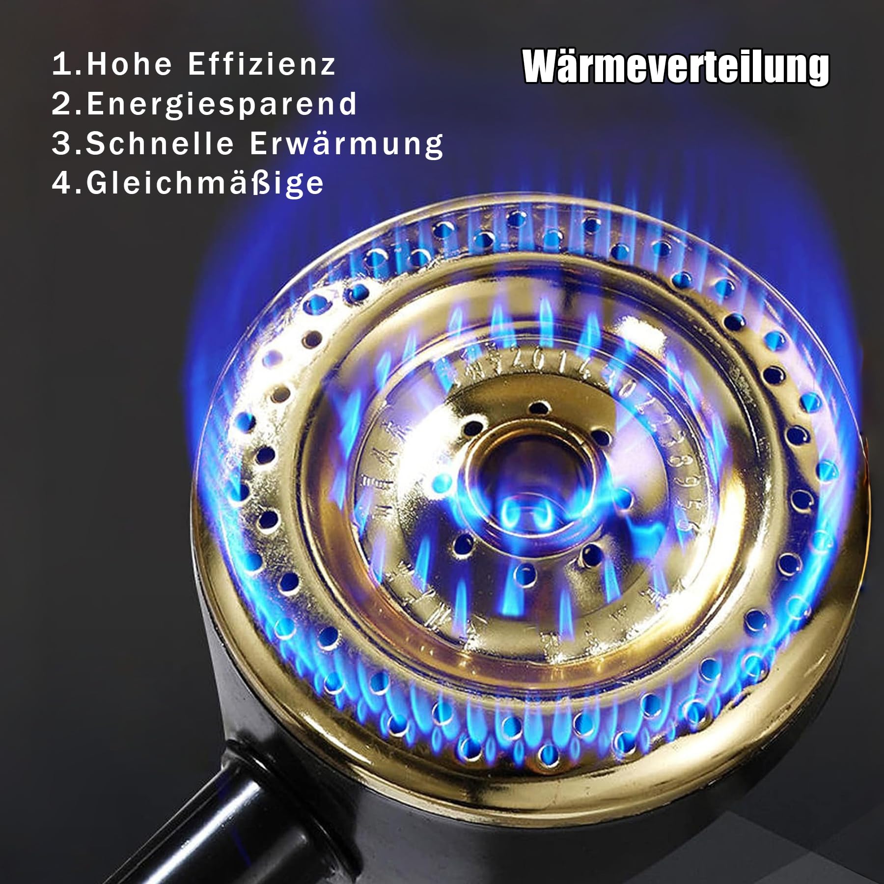 Friggitrice a Gas 16L Acciaio Inossidabile Friggitrice a Gas Professionale Deep Fryer con Coperchio, Cestello Friggere da Banco Patatine Fritte, Ciambelle, Ristoranti, Snack bar, Casa
