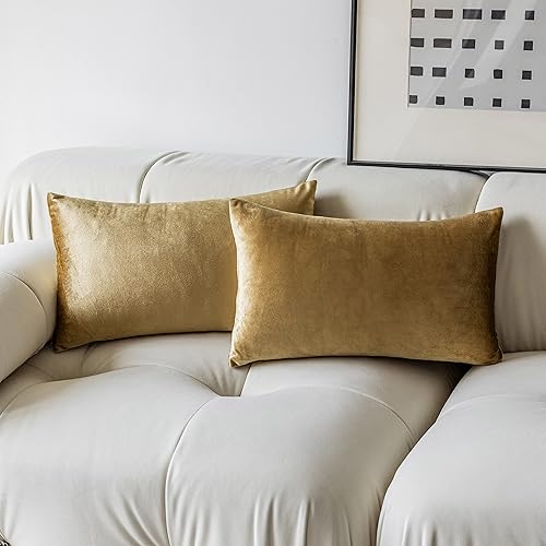 Demetex Juego de 2 fundas de almohada doradas, de terciopelo súper suave, lumbar, moderna, rectangular, para sofá, patio, mujer, aniversario, juego