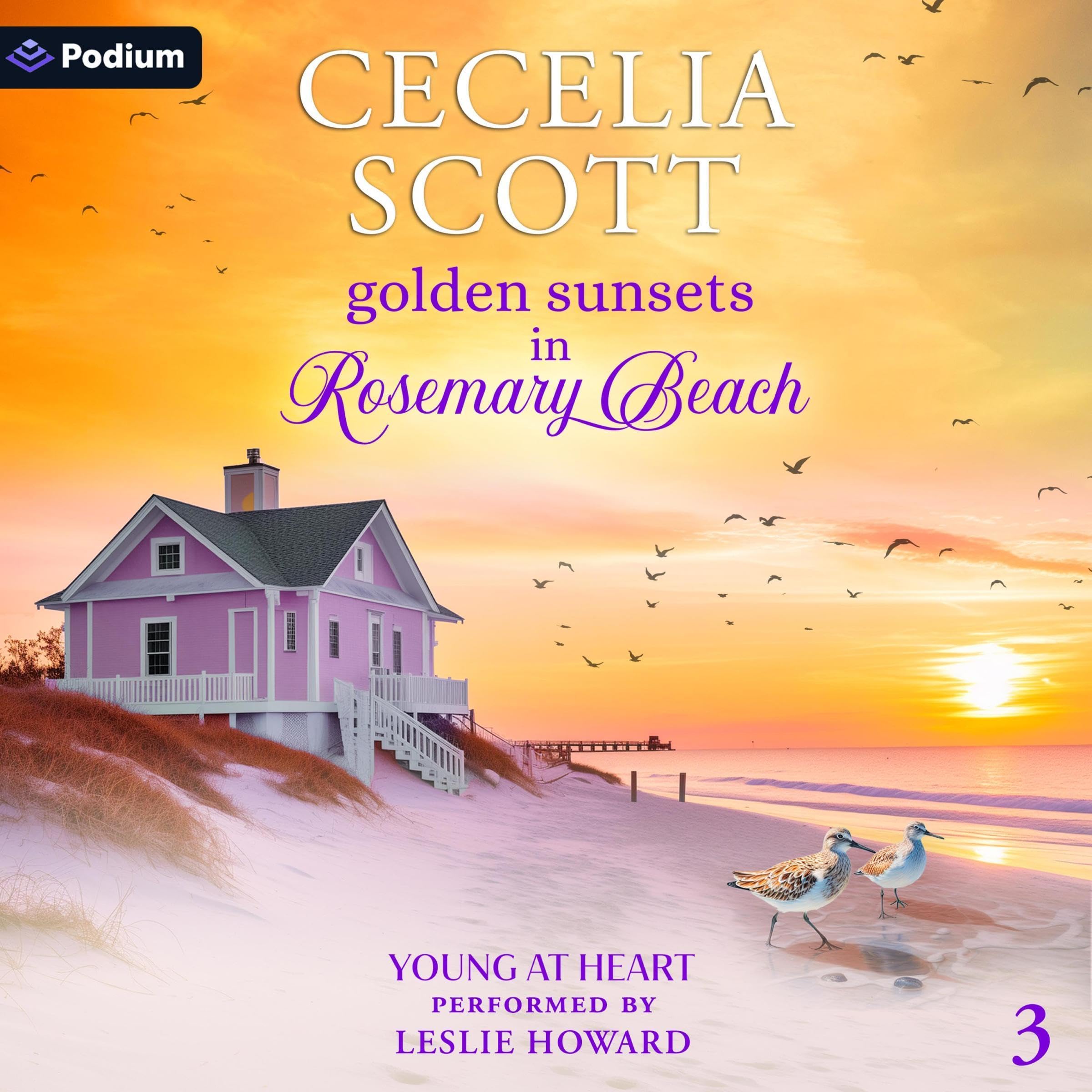 Cover art for Golden Sunsets in Rosemary Beach