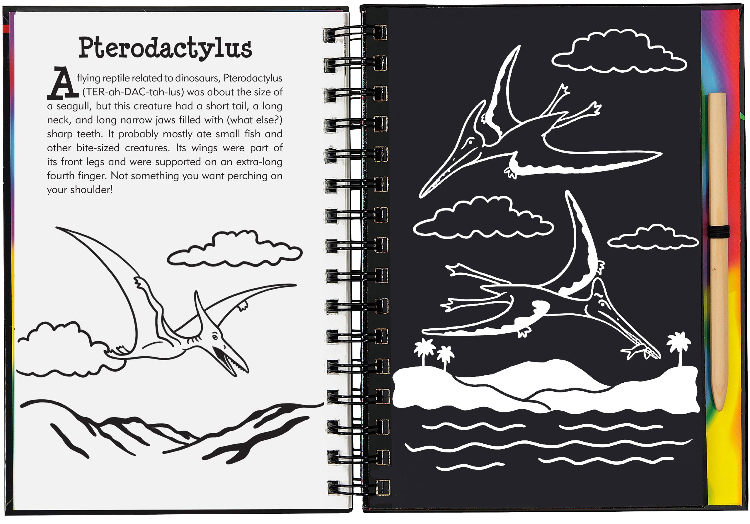 Scratch & Sketch Jurassic (Trace Along) - Image 6