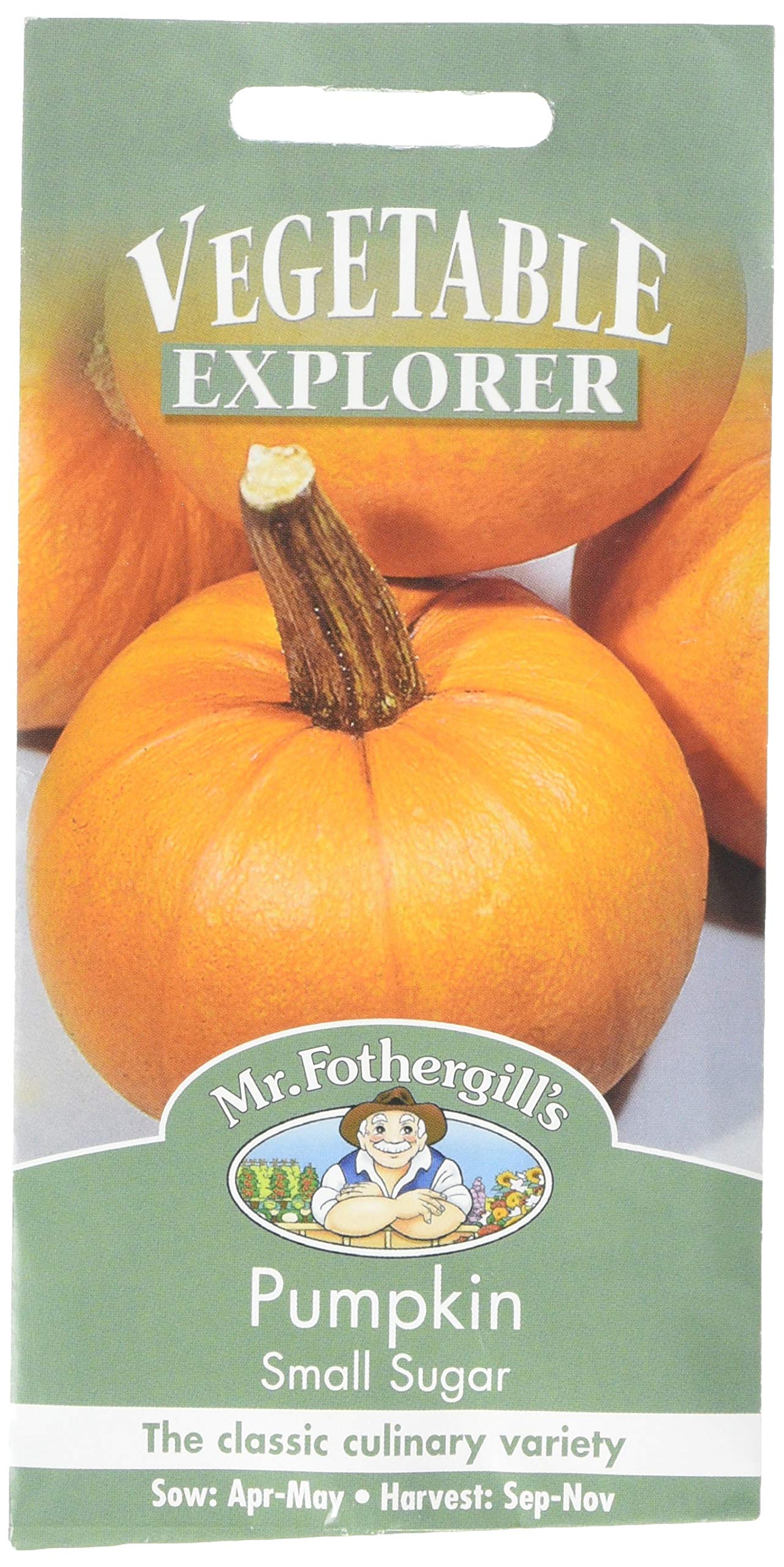 Mr. Fothergill's Pumpkin Small Sugar Seeds