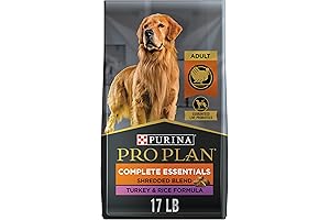 Natural Balance High Protein Dog Food with Probiotics for Dogs, Turkey & Rice Formula