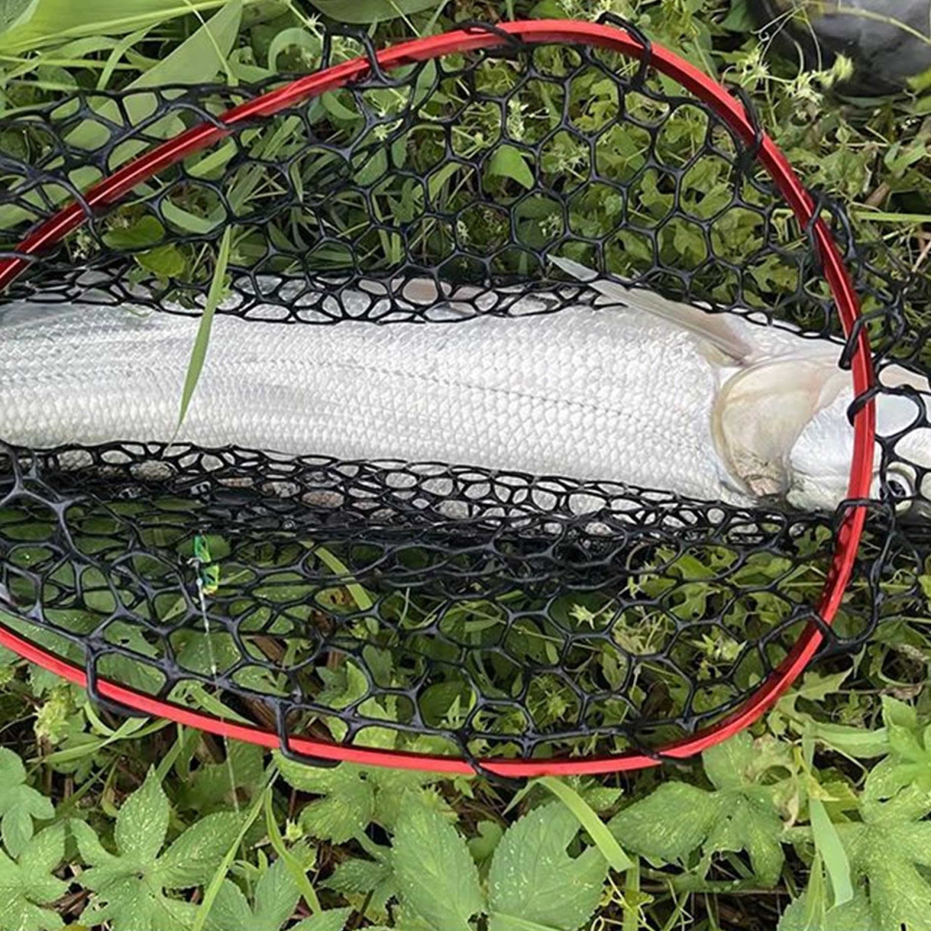 Rete da pesca 48 Guadino in silicone pieghevole telescopico con palo in lega di alluminio e moschettone, gancio nylon, manico EVA e cinturino da polso elastico per la pesca