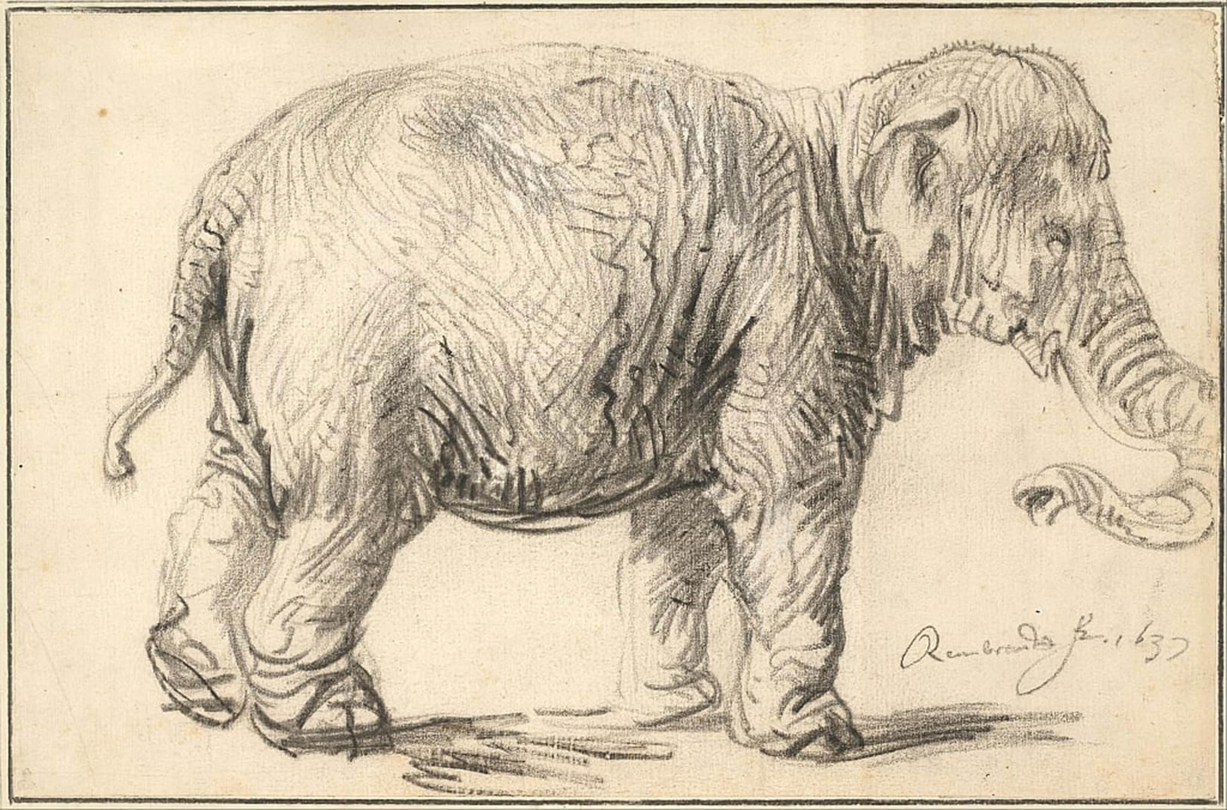 ARTXLXXBN Famous Painting Art Wall Decor Abstract Art Picture An elephant, by Rembrandt van Rijn Animal Pictures for Home Decor 60x90cm
