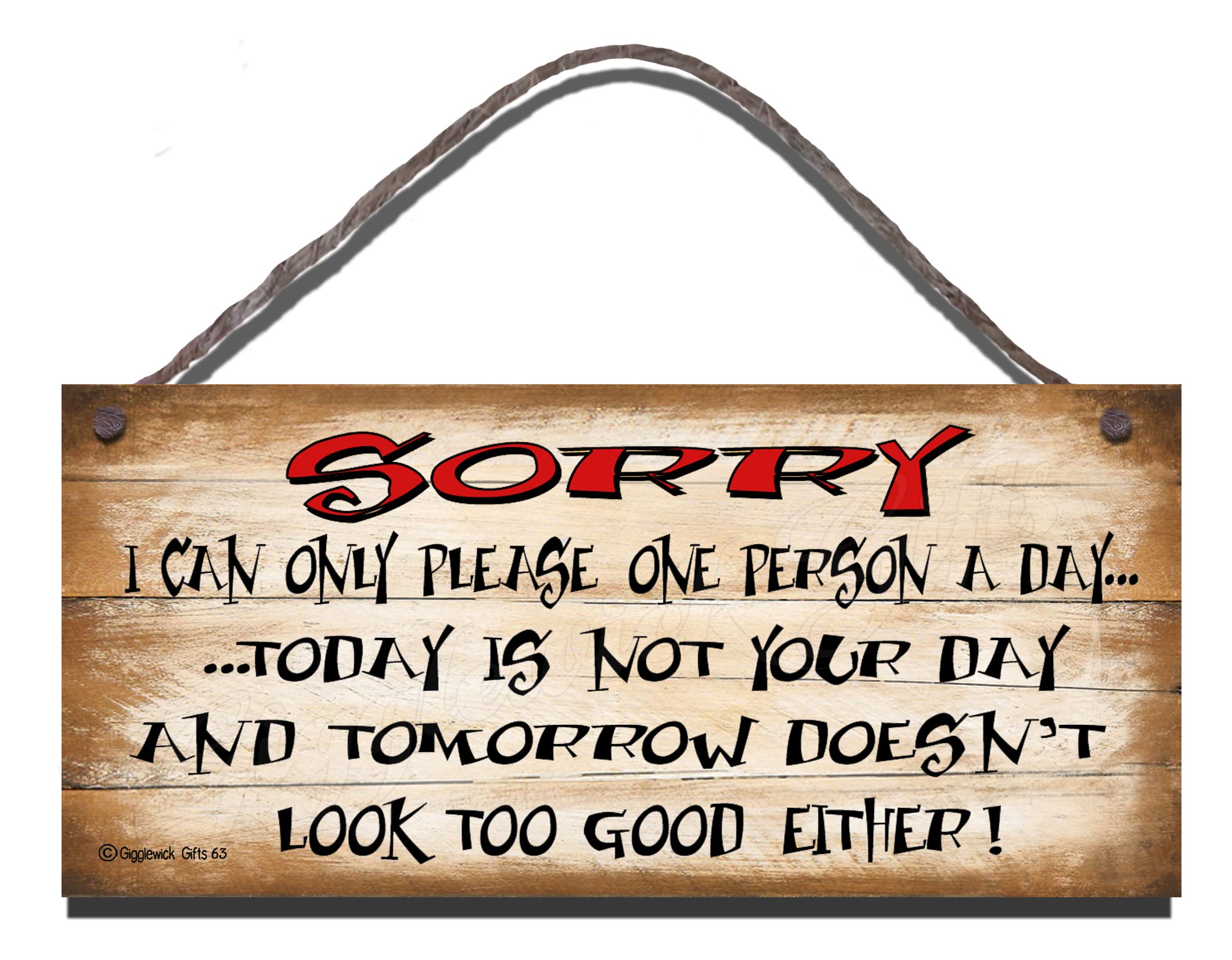 Shabby Chic Birthday Occasion Wooden Funny Sign Wall Plaque. Sorry I Can Only Please One Person A Day,Today Is Not Your Day And Tomorrow Doesn't Look Too Good Either.