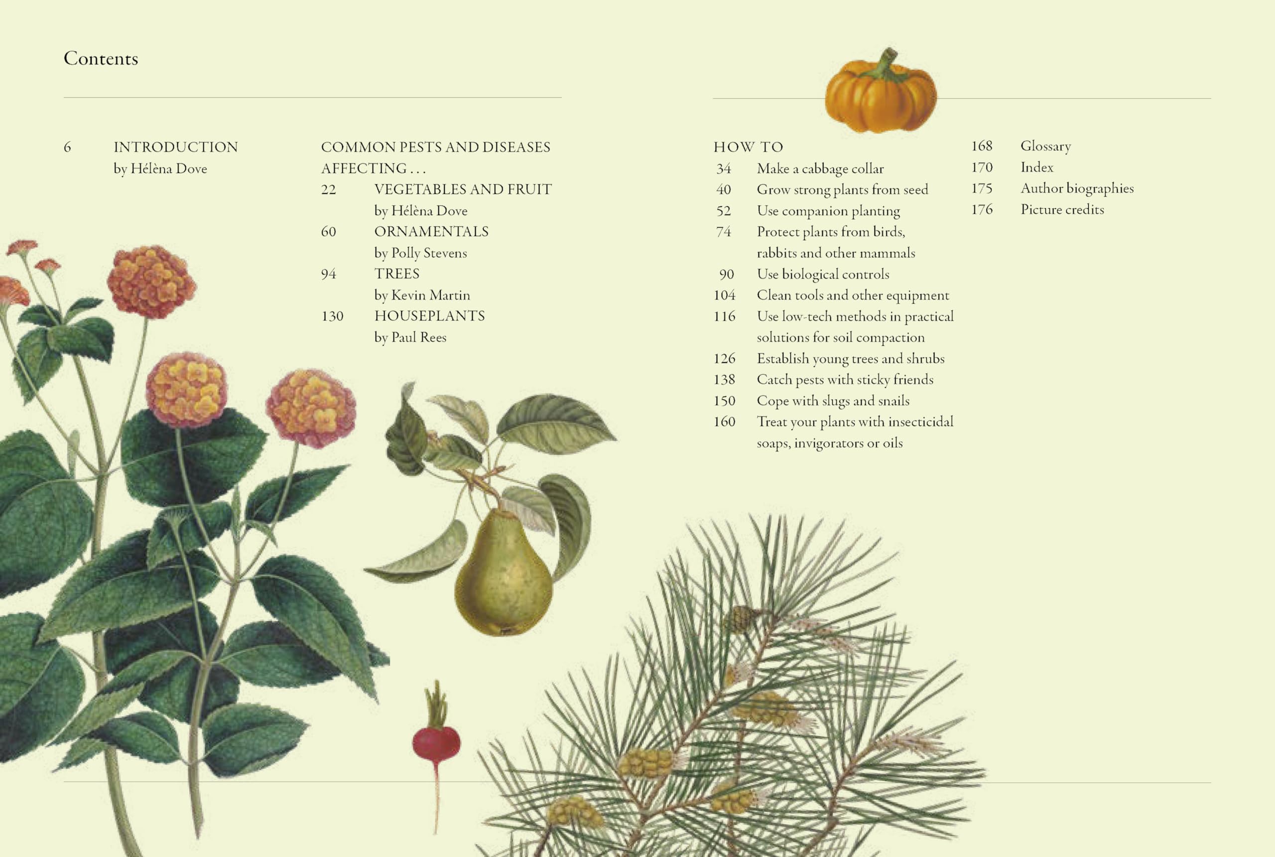 Gardener's Companion to Pests and Diseases: A Guide to Diagnosis, Treatment & Prevention