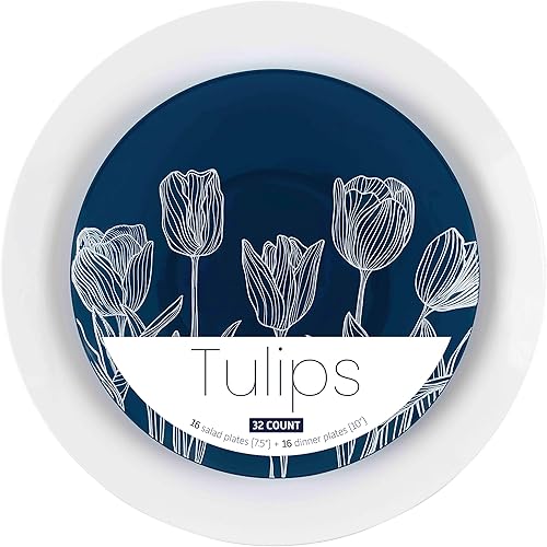 Miniatura 5 de PLASTICPRO Juego de 64 piezas elegantes de platos de plástico desechables incluye 32 platos de cena y 32 platos de ensalada, platos de fiesta