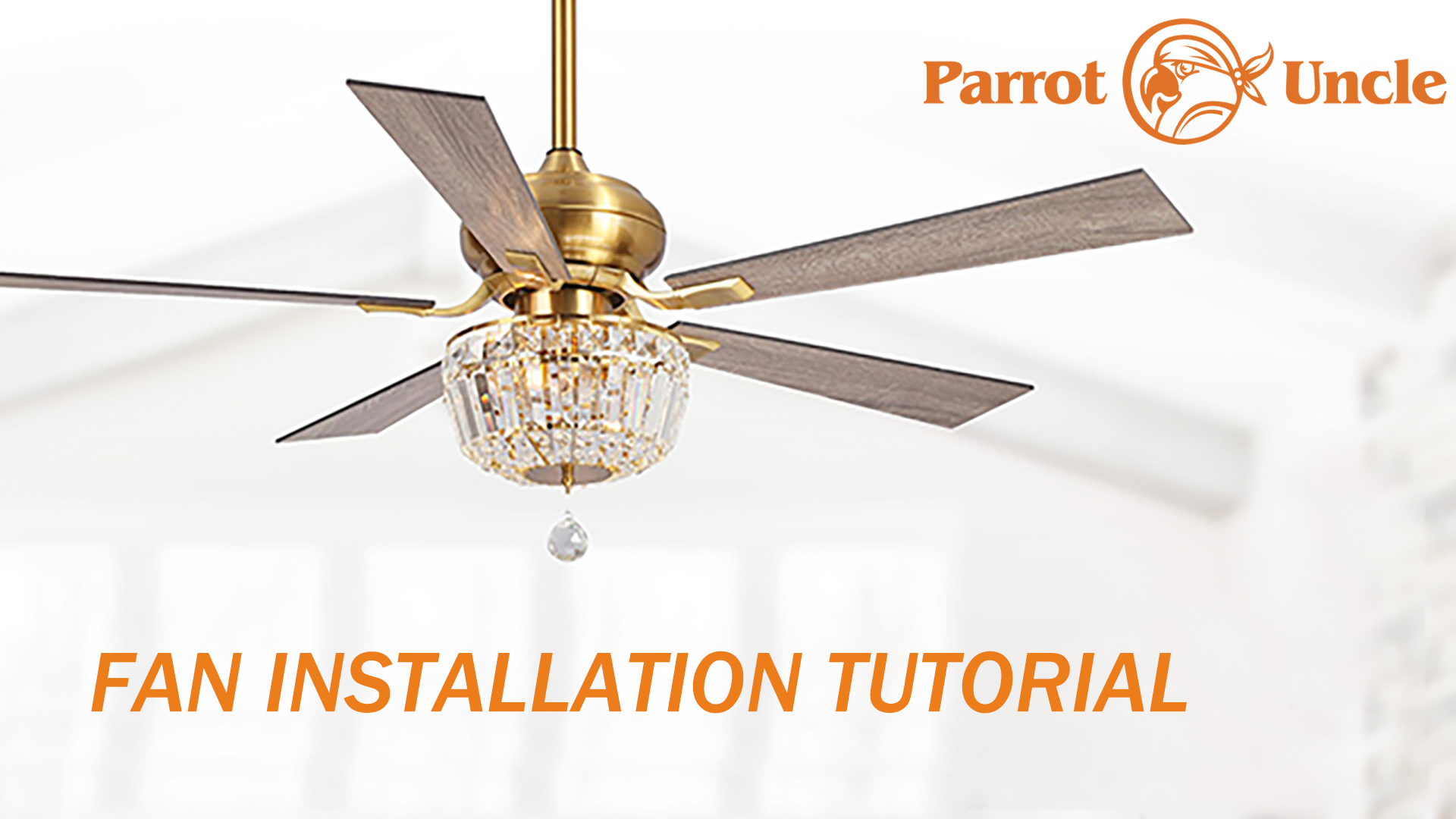 Parrot Uncle Ceiling Fan Installation