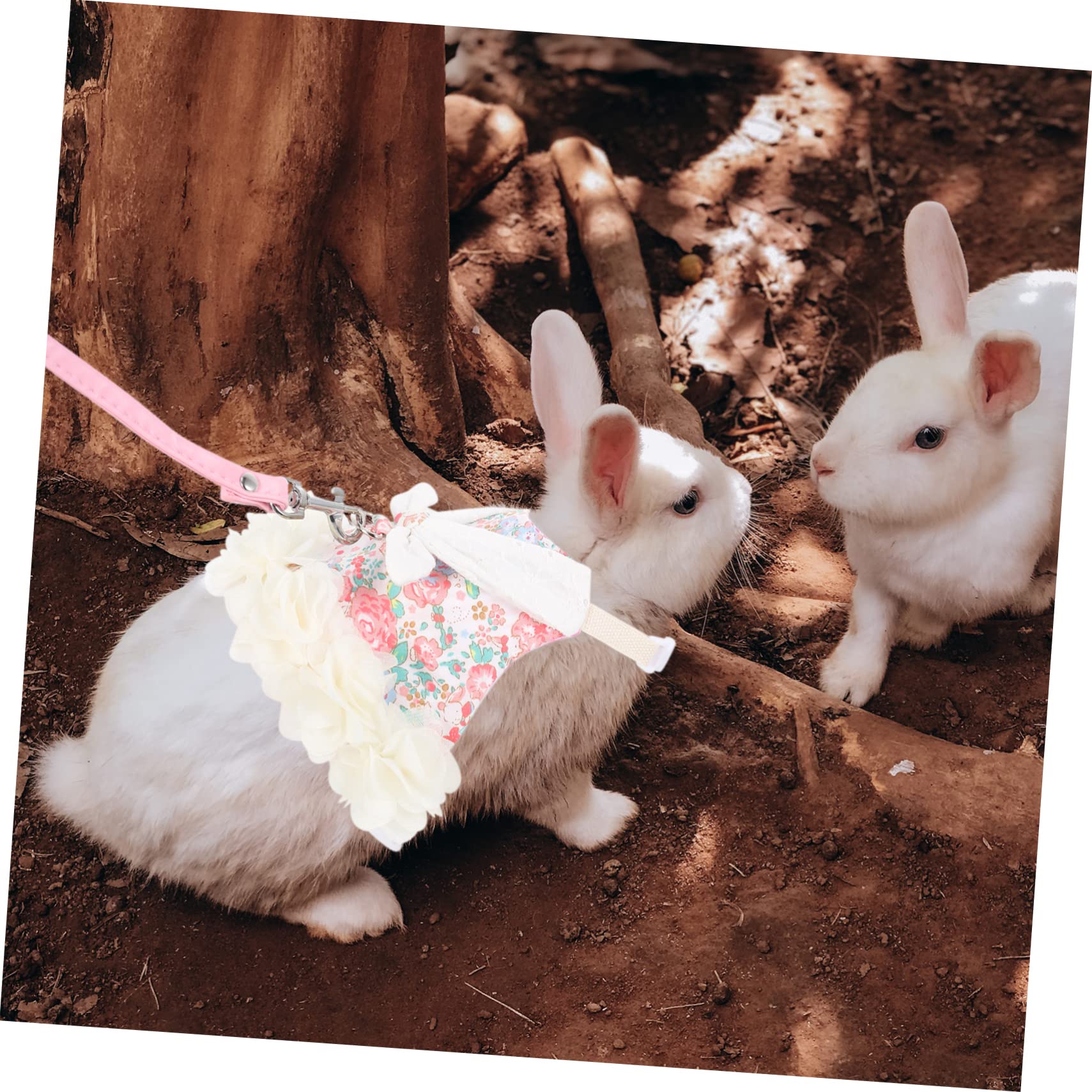 POPETPOP Ensemble Vêtement Décoratif pour Lapin Laisse en Coton Rose, Doux Odeur, pour Promenades Extérieures et Fêtes