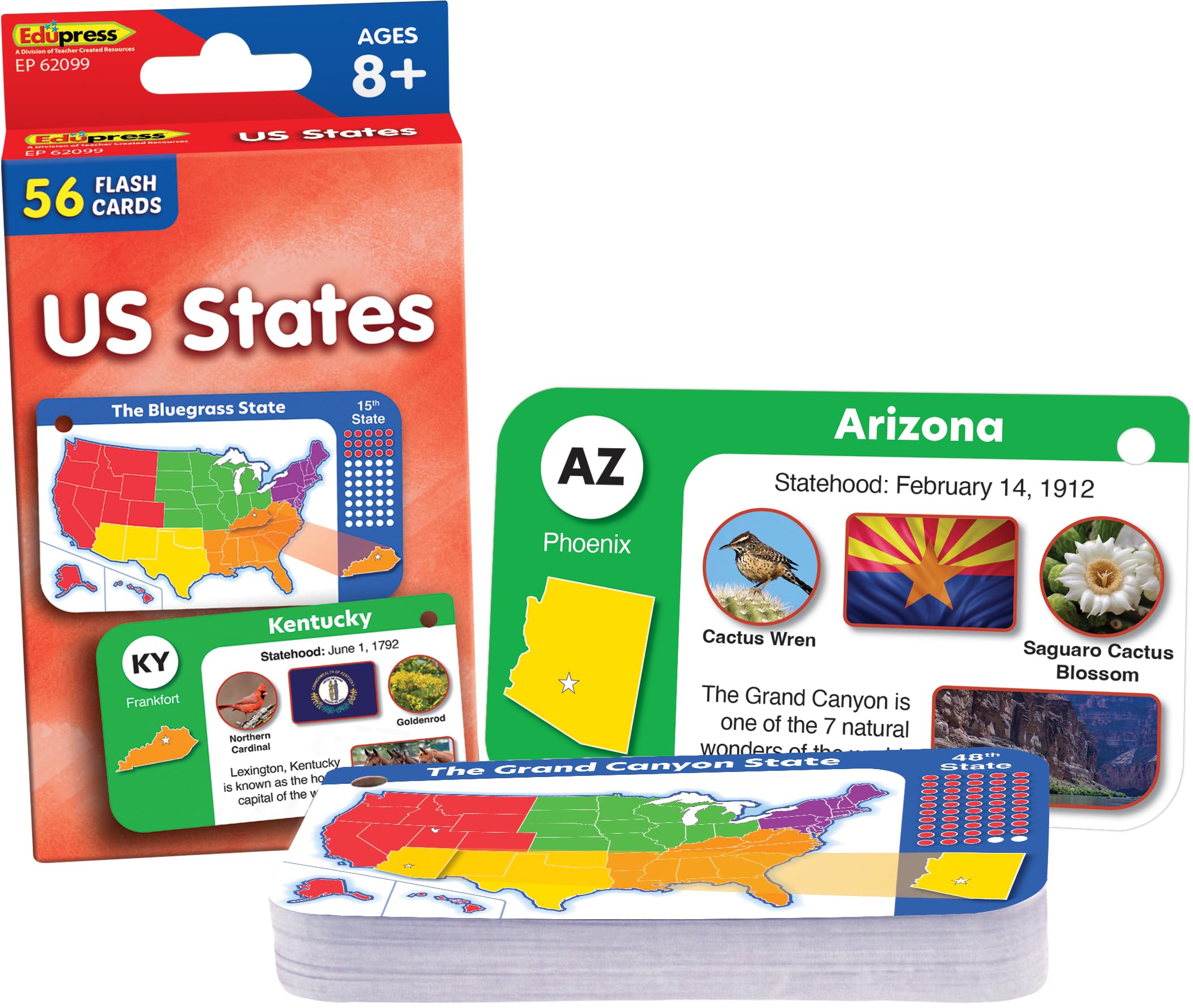 Amazon.com: Teacher Created Resources US States Flash Cards