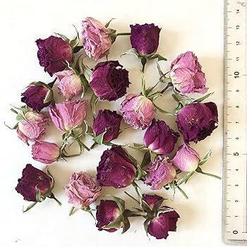 ❇️ドライフラワー❣️ミニバラ Amazon | ドライフラワー ミニバラ ヘッド 2色セット | 花材