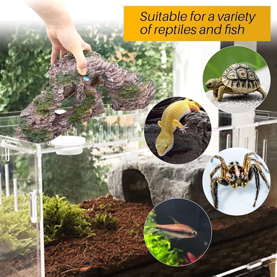 爬虫類　バスキングスロープ　15 爬虫類 バスキングスロープ 15